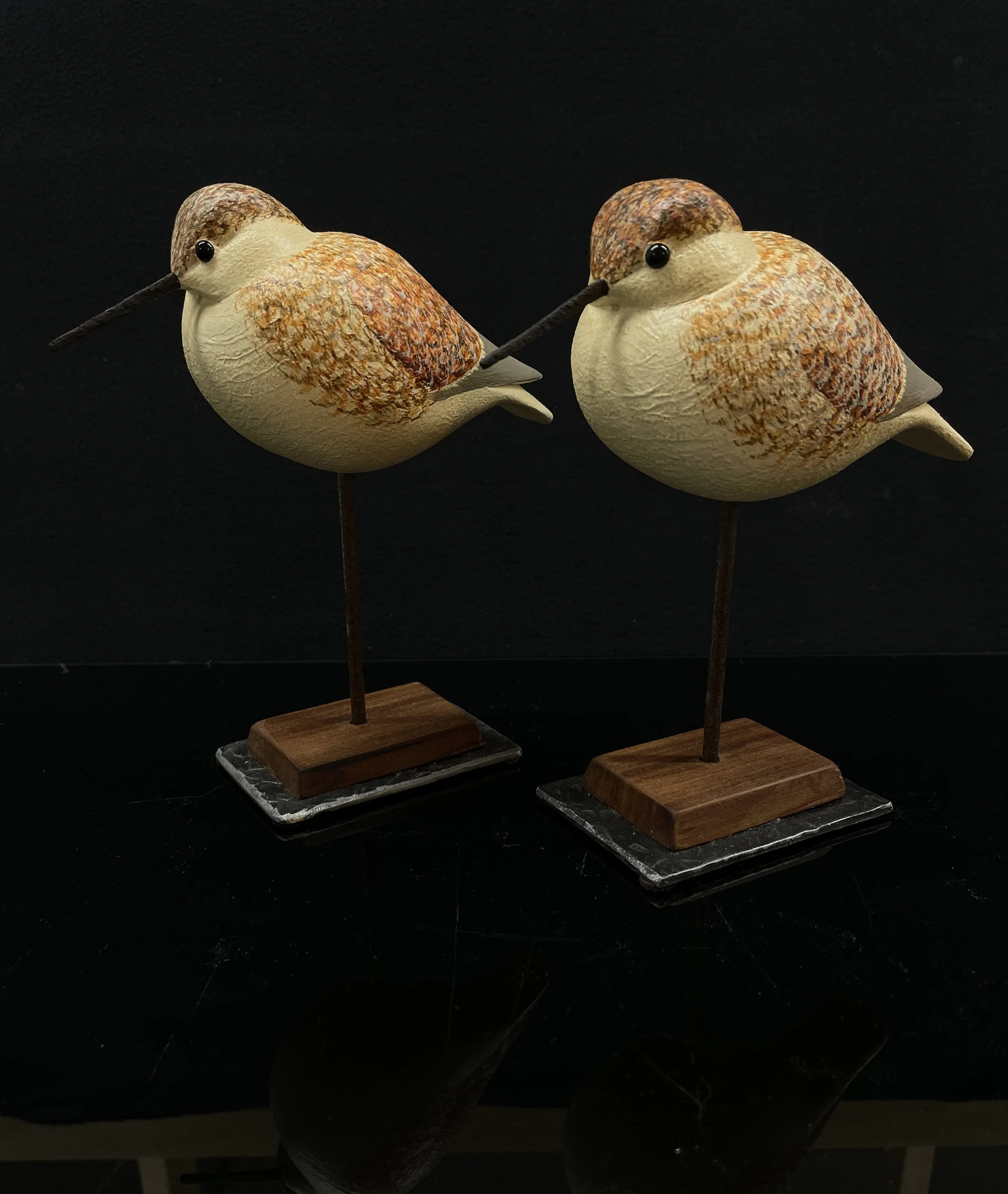 Alaska Shorebird Rattle