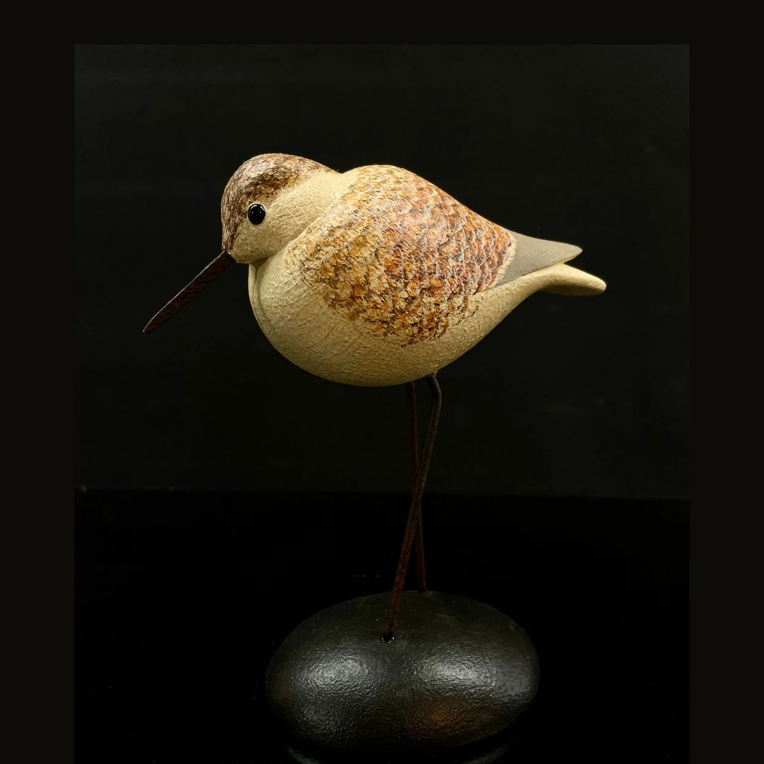 Wire Legged Shorebird