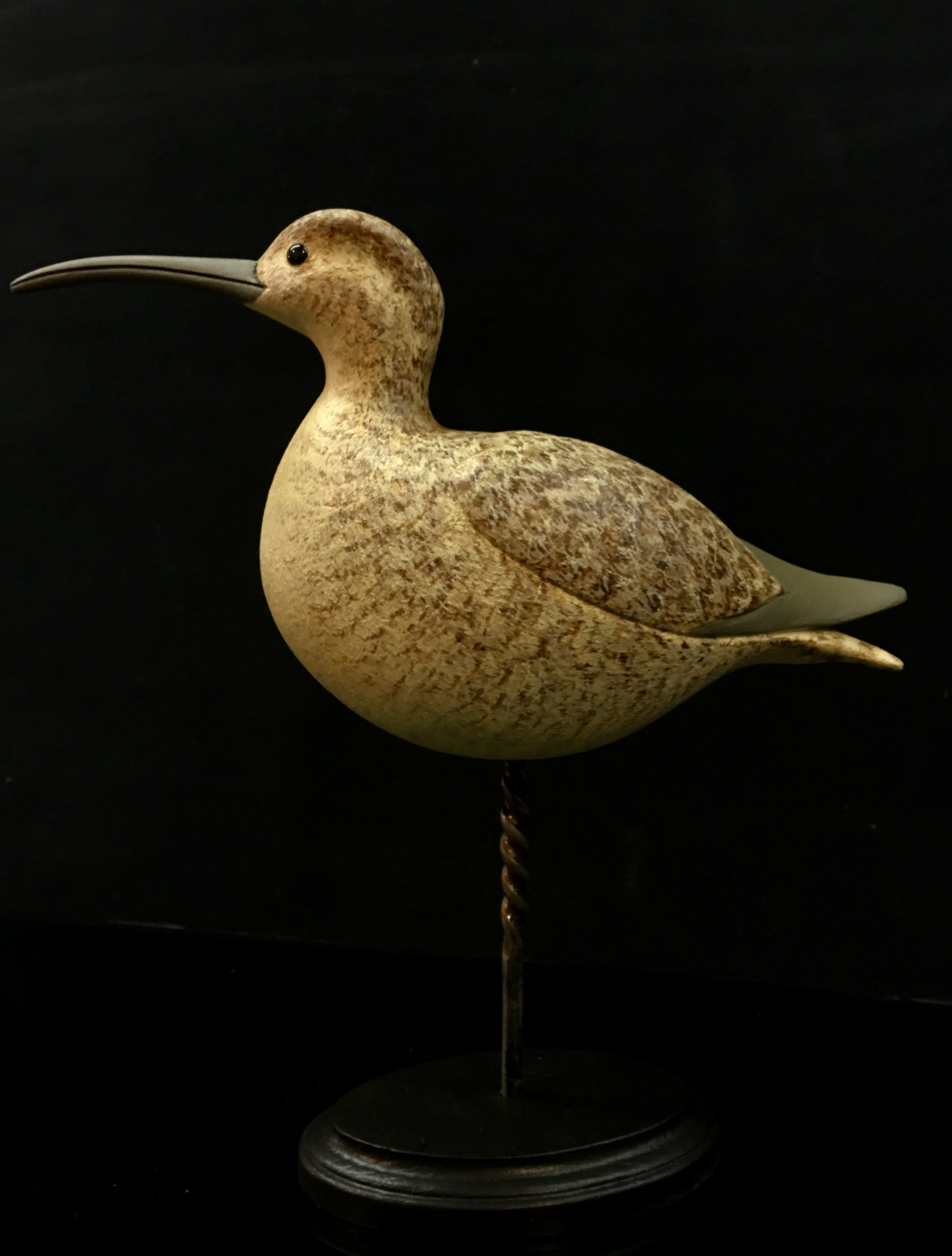 Eskimo Curlew