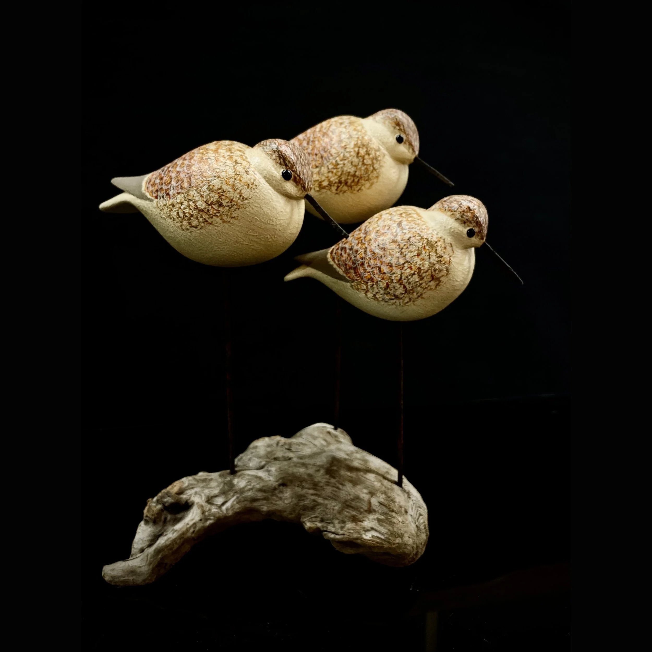Sandpiper Trio