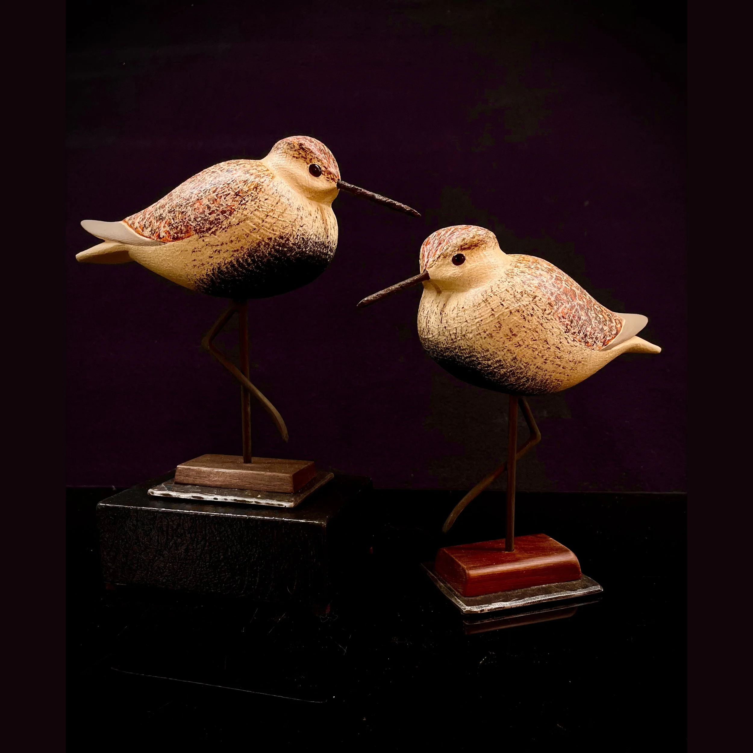 Bent-leg Dunlin