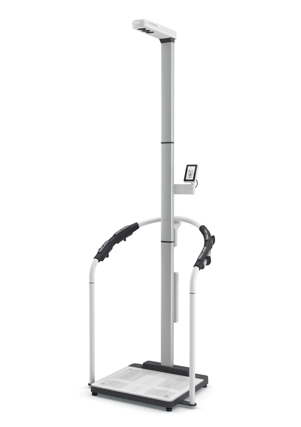 SECA 554 Body Composition Analysis