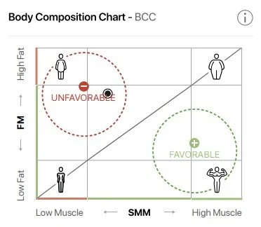 Body composition chart showing different body types based on muscle mass and fat levels, with zones labeled 'Unfavorable' and 'Favorable', and icons representing low and high muscle and fat.