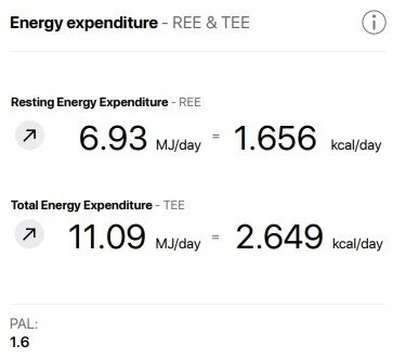 Table showing energy expenditure data: resting energy expenditure 6.93 MJ/day or 1.656 kcal/day, total energy expenditure 11.09 MJ/day or 2.649 kcal/day, PAL 1.6.