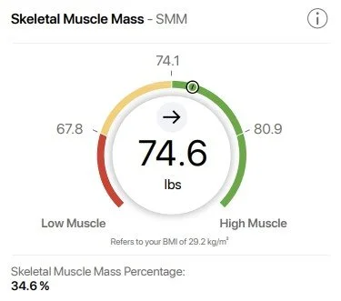 Skeletal muscle mass measurement display showing 74.6 pounds, with a BMI of 29.2, and skeletal muscle mass percentage of 34.6%, in a color-coded gauge from low to high muscle mass.