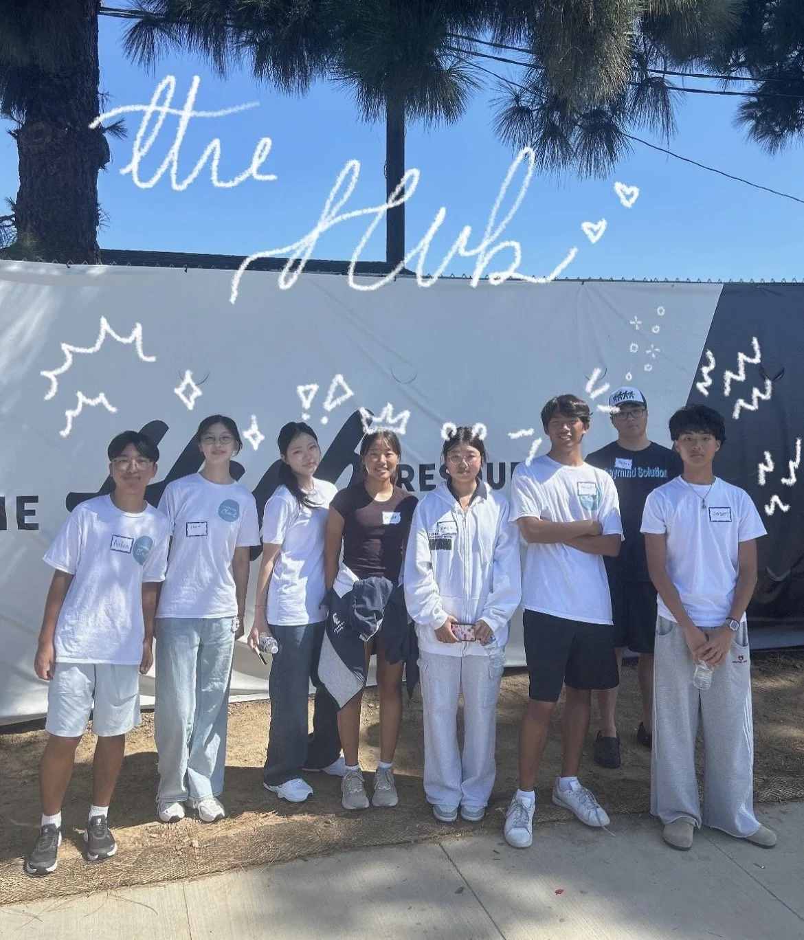 The Hub Distribution