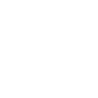 APS MEDIA GROUP