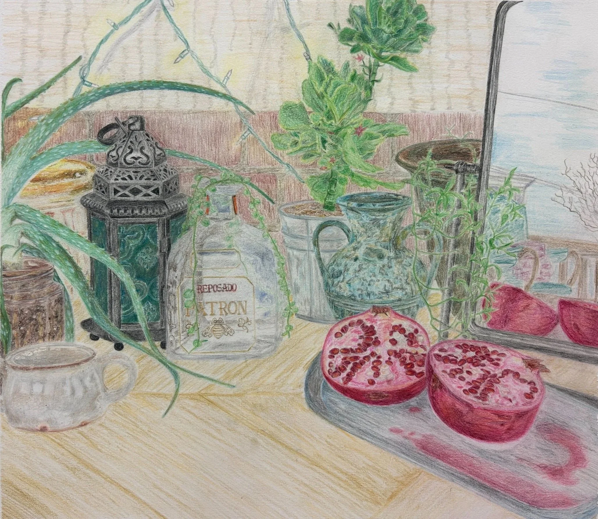 Pomegranite Still Life, Colored Pencil
