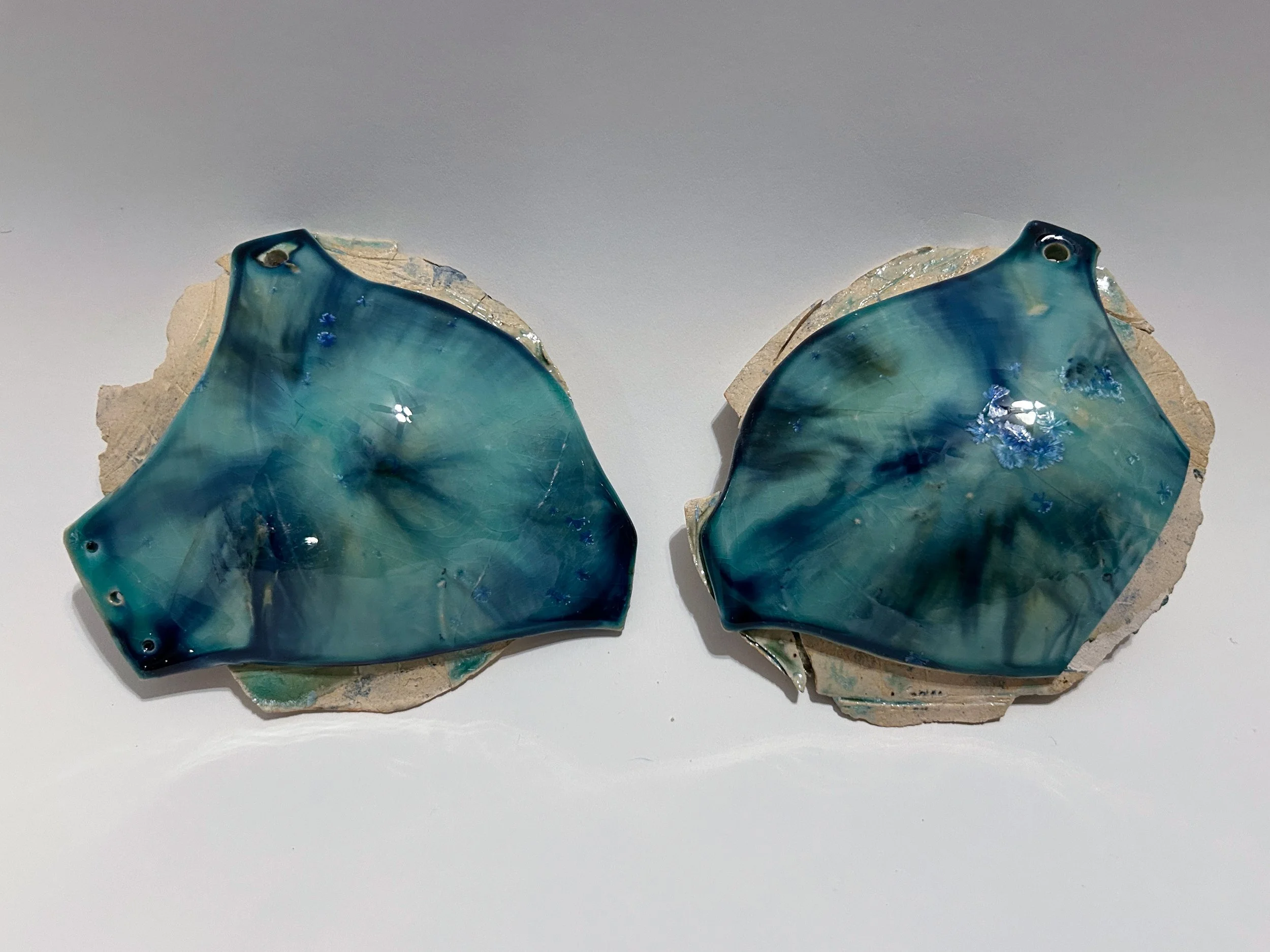 bra pads 1.jpg