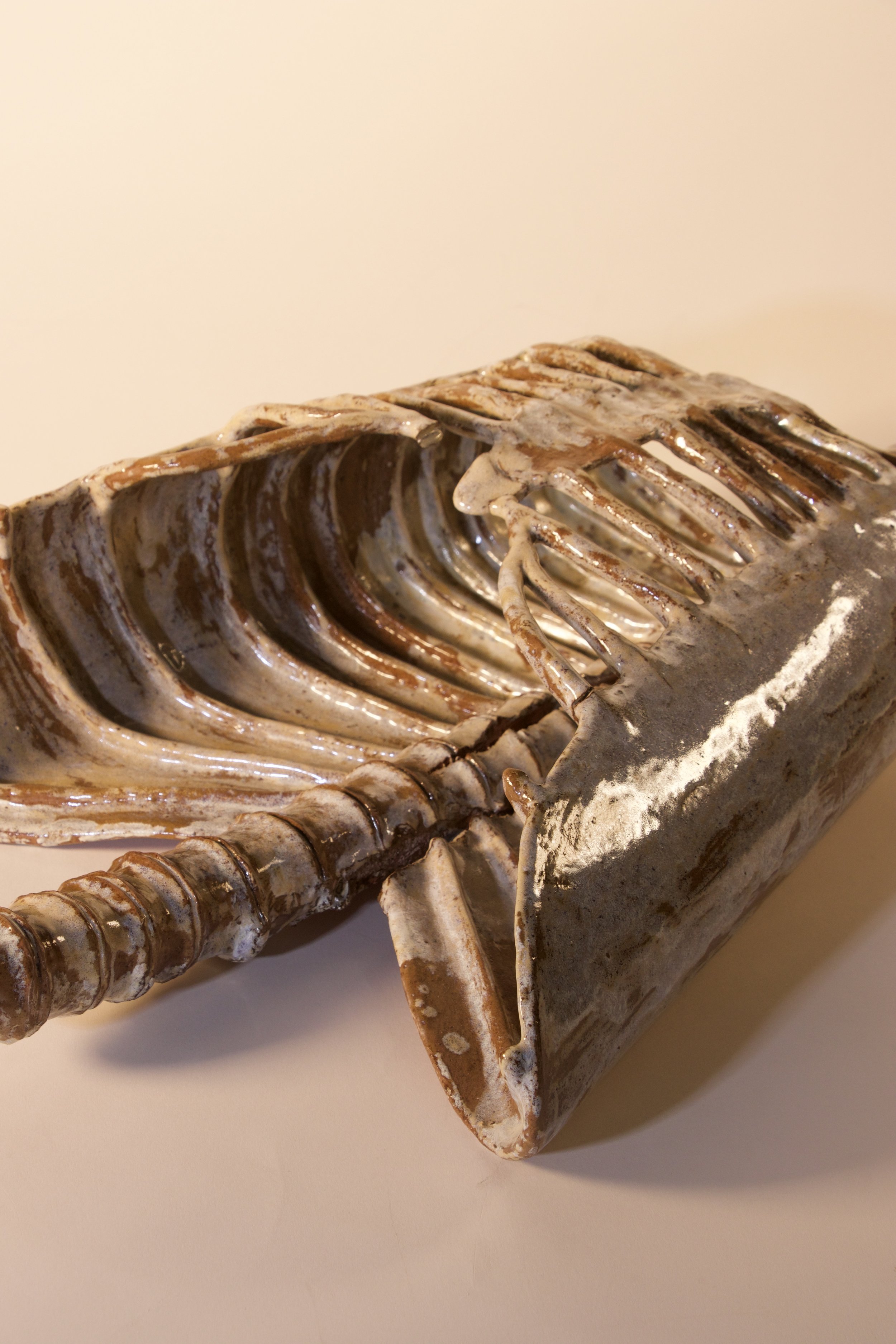 ribcage detail.jpeg