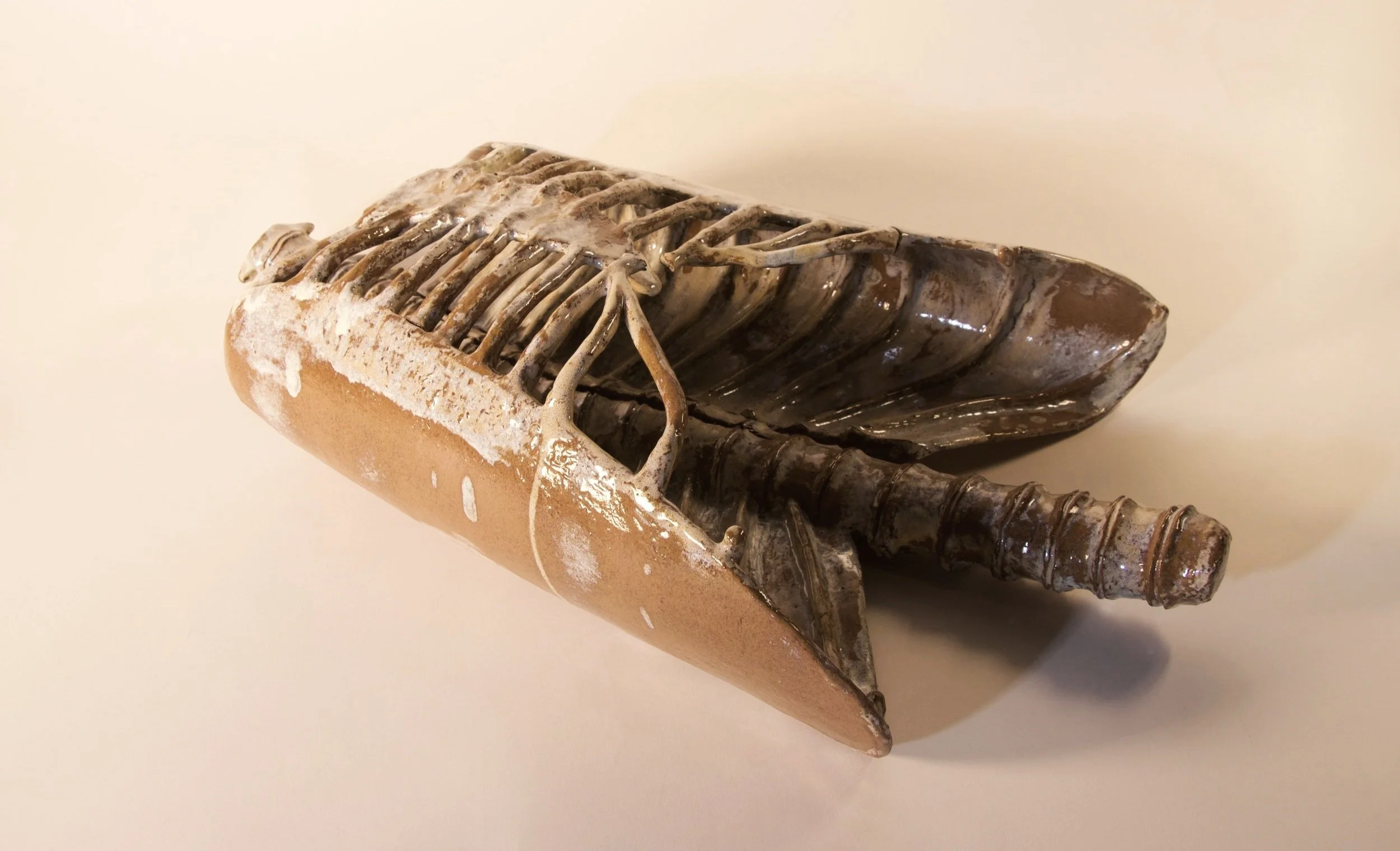 ribcage 1.jpg