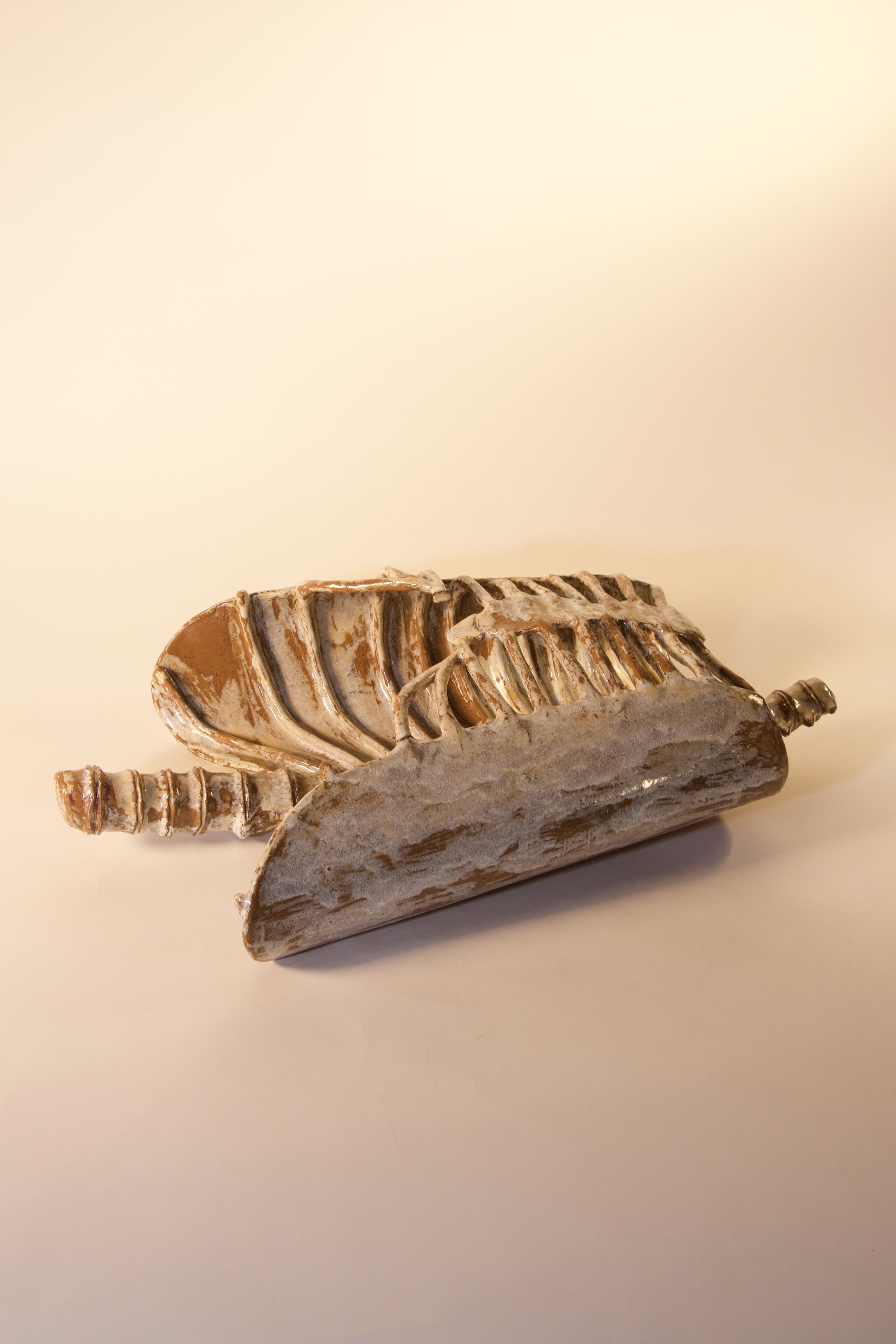 ribcage 3.jpeg