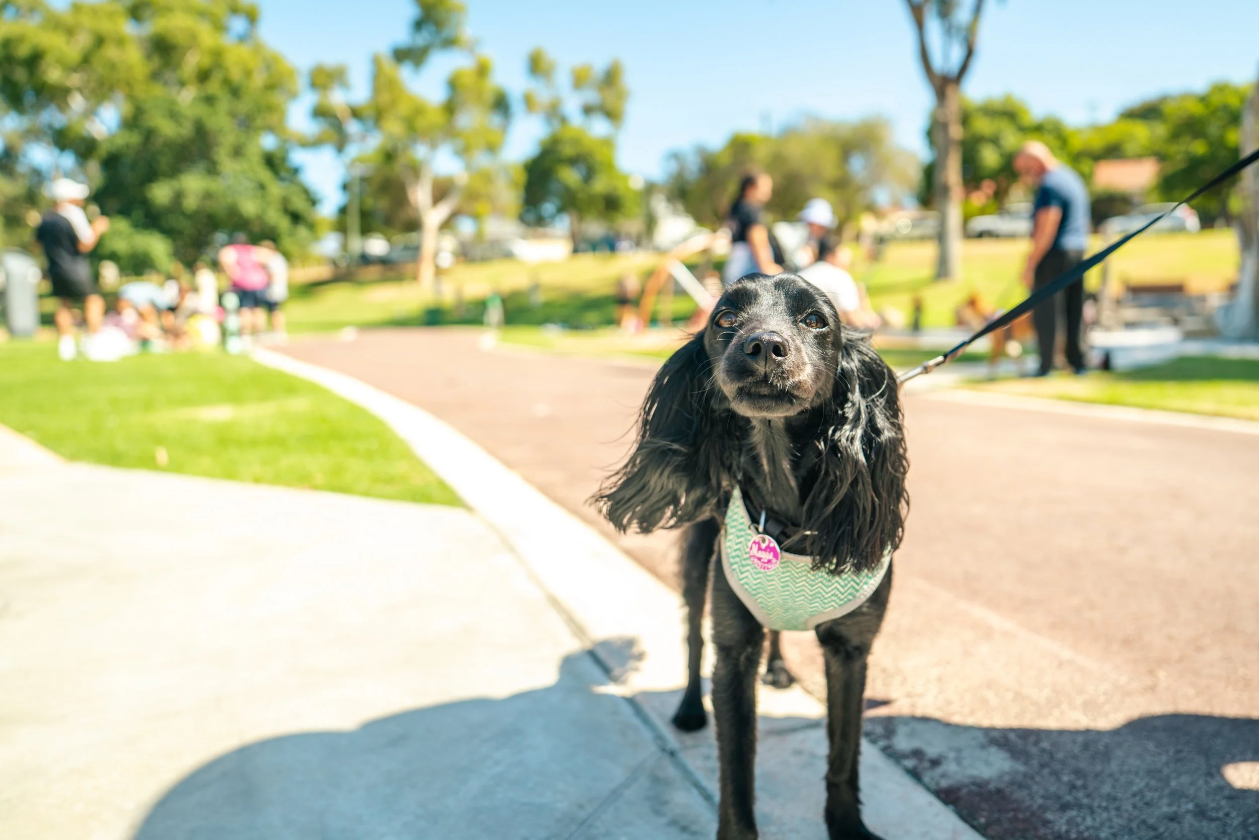 Webber Reserve Opening-43.jpg