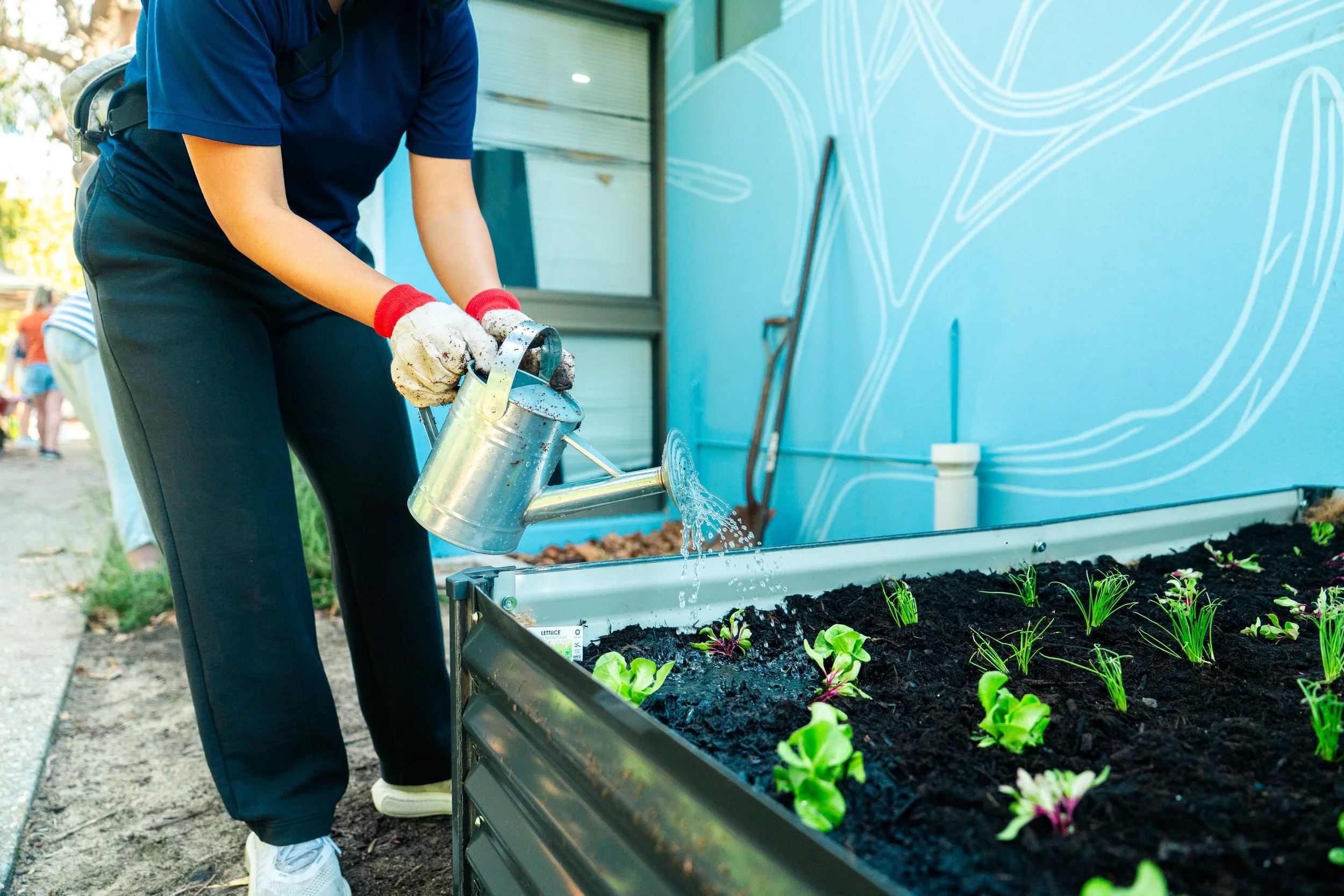 Community Gardening-63.jpeg