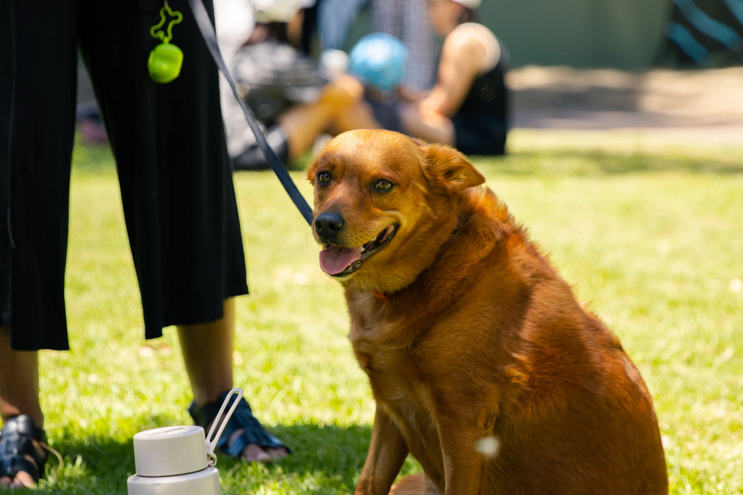 Rick Vosper Reserve Photos-010.jpg