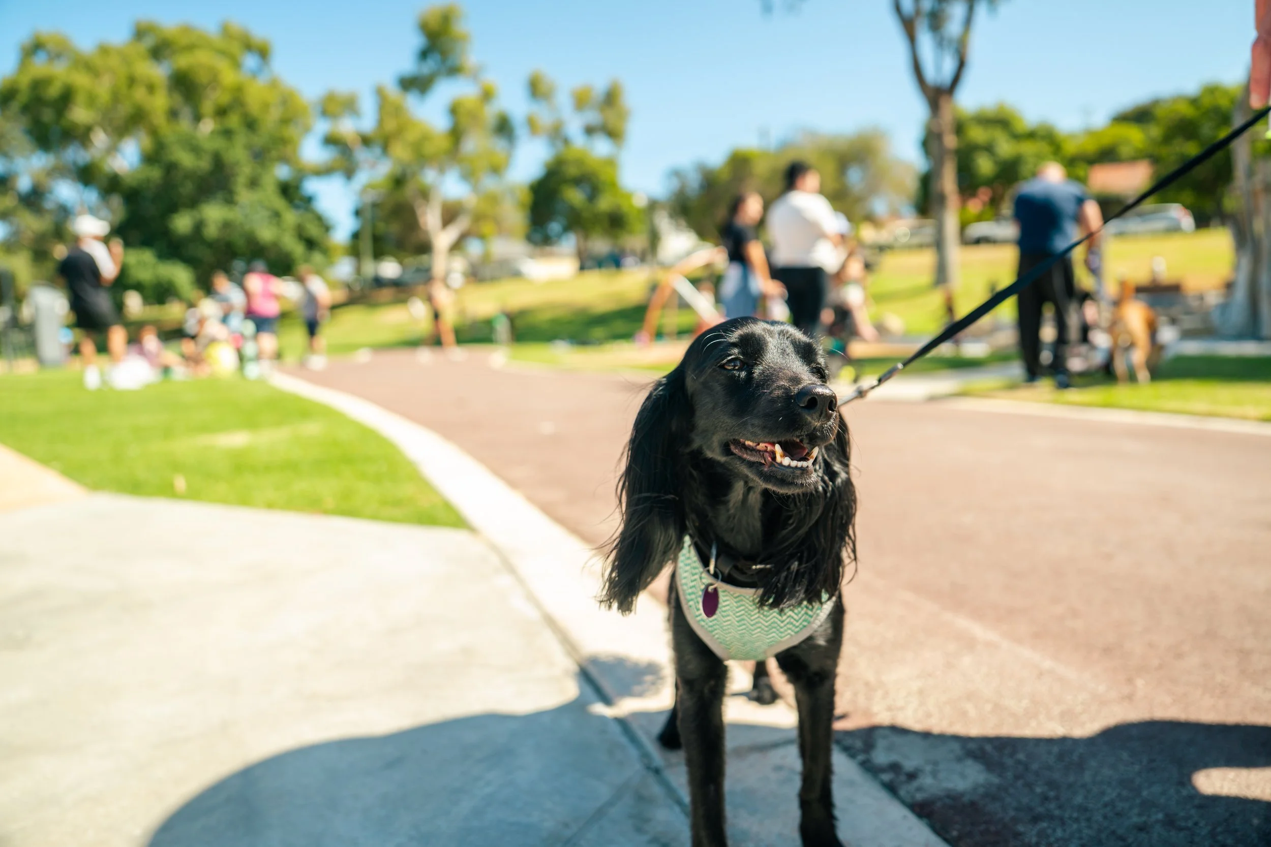 Webber Reserve Opening-106.jpg