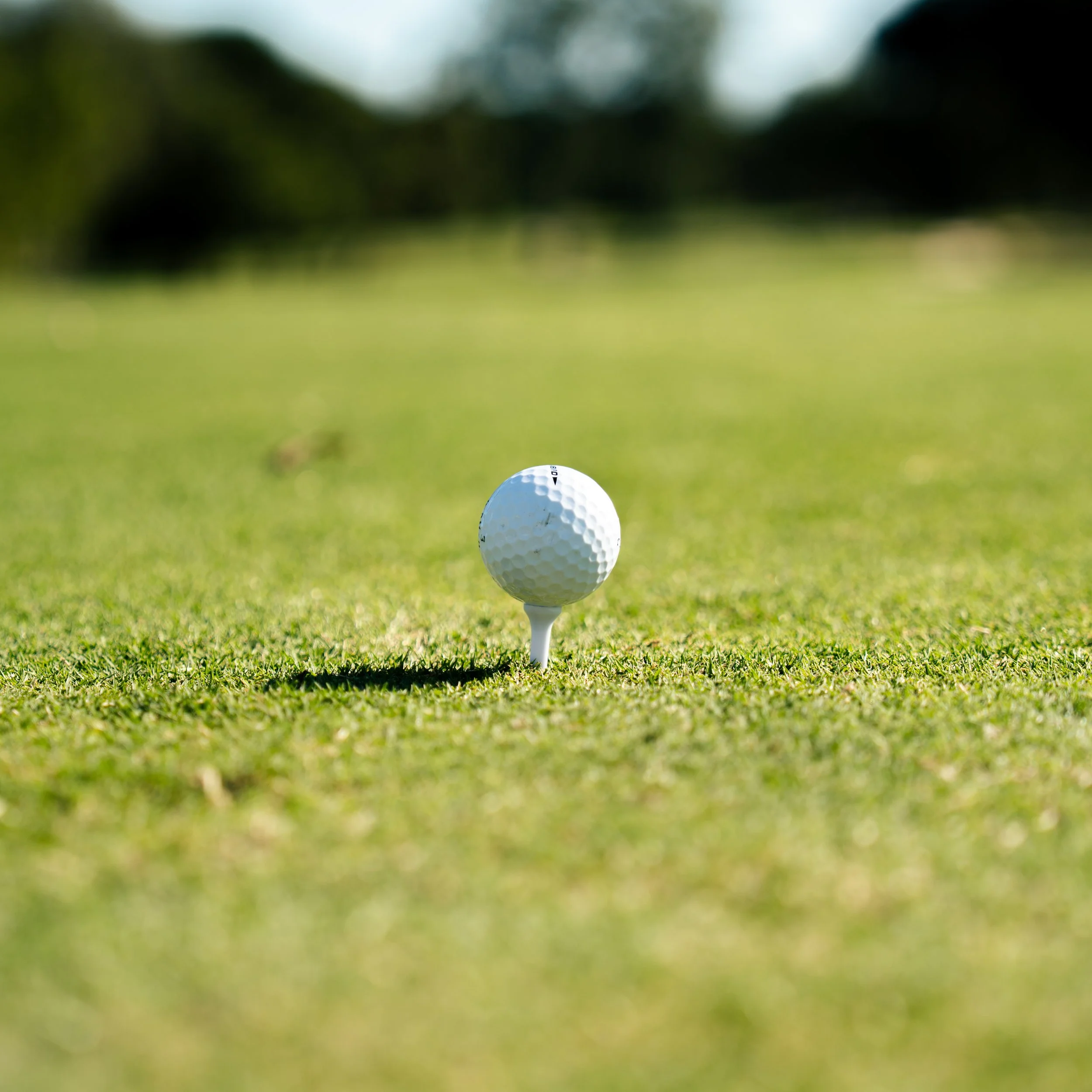 Charity Golf day-61.jpg