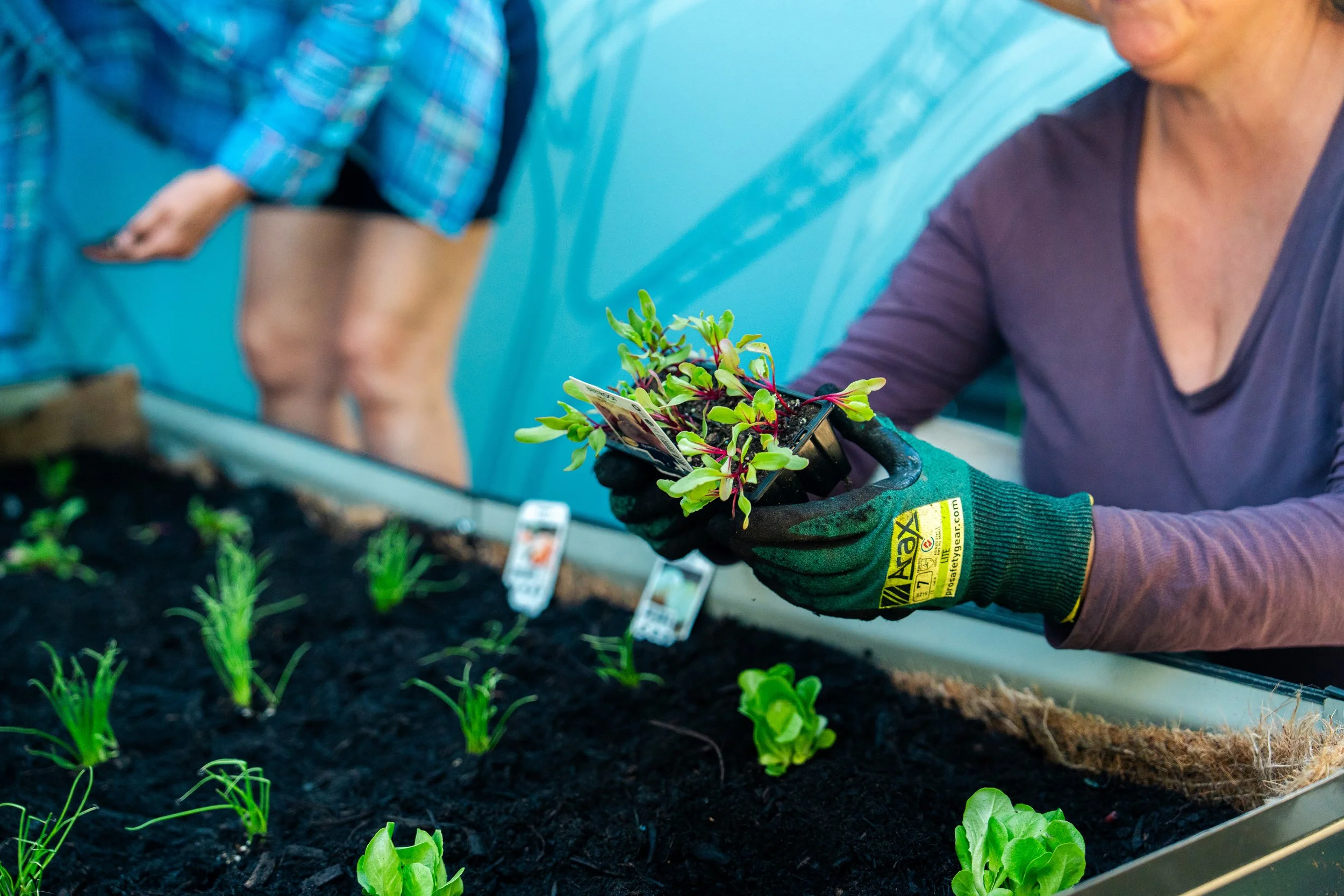 Community Gardening-74.jpeg