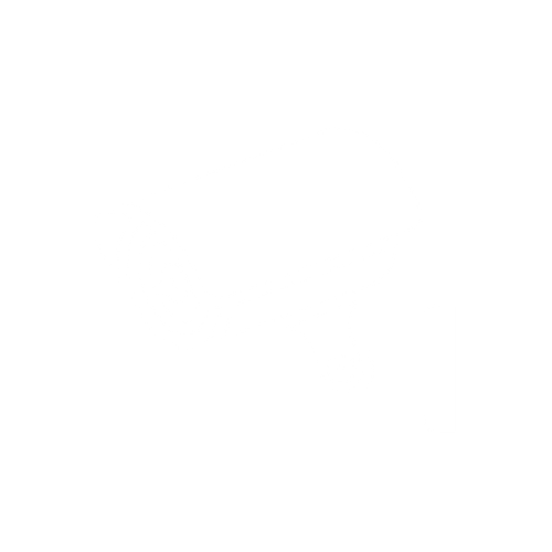 camera-system.png