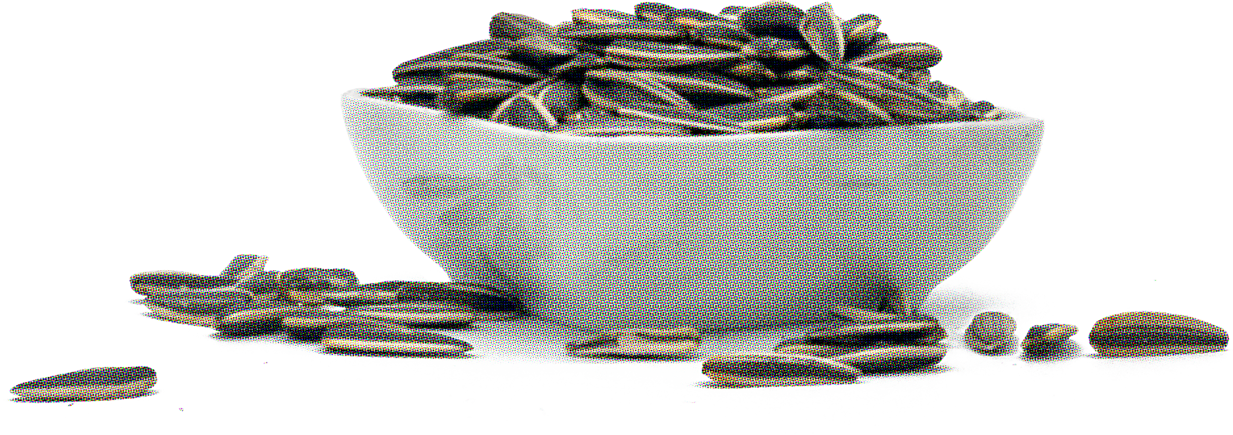 ChaCha Sunflower Seeds