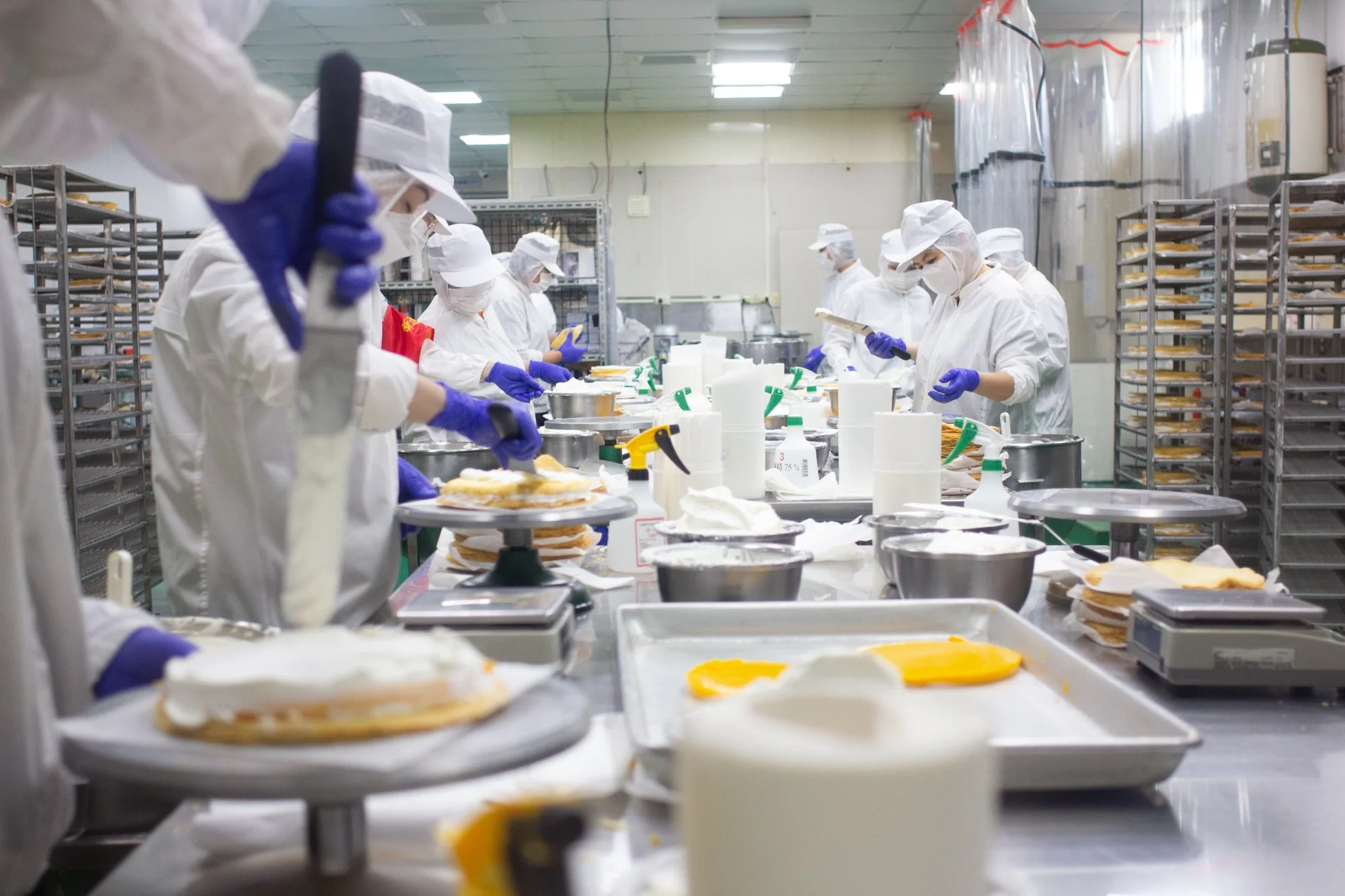 Touched Mille Crepe Cake assembly line