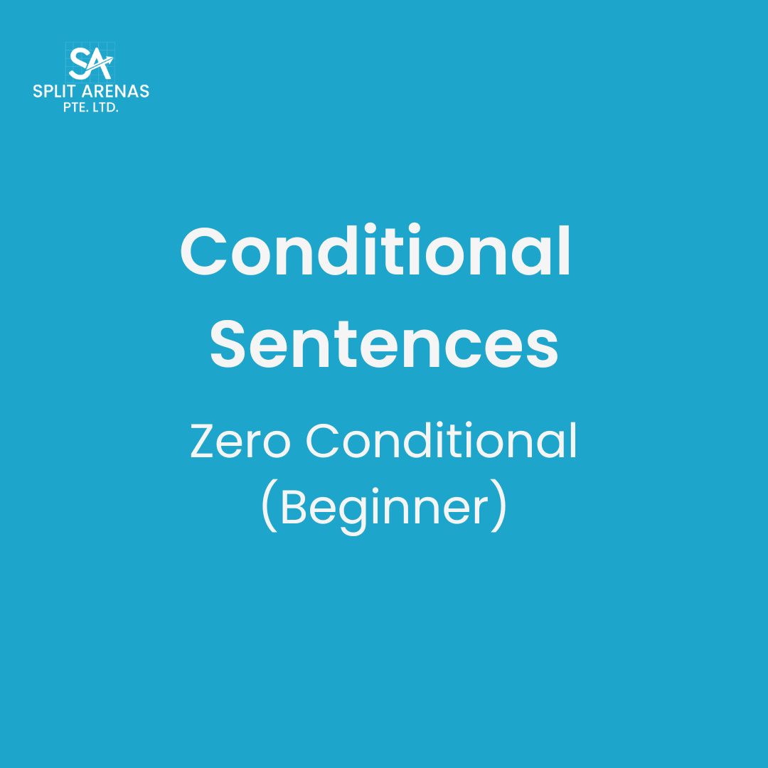 Conditional Sentences Worksheet - Third Conditional Sentences ...