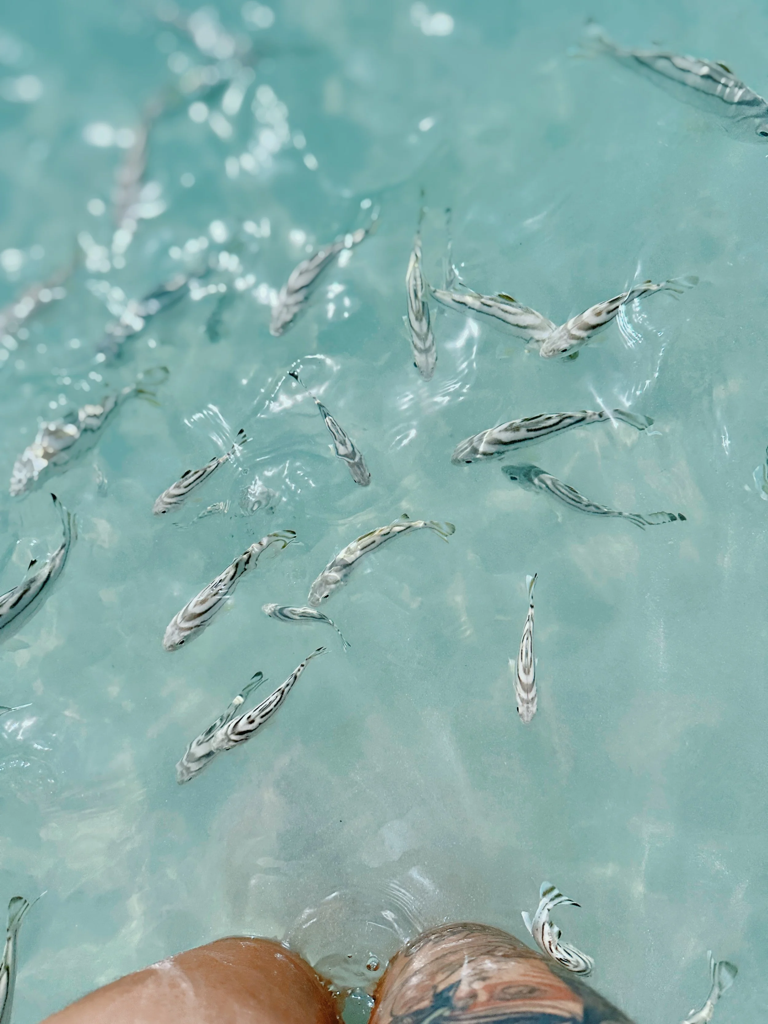 FullSizeRender_VSCO 2.JPG