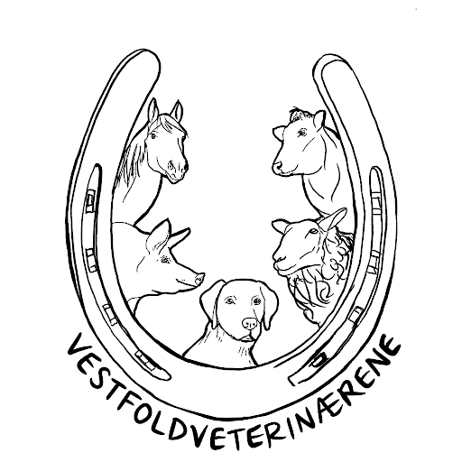 Vestfoldveterinærene