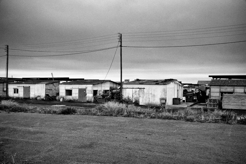 Le Mourre Blanc, France. (TTT 40)