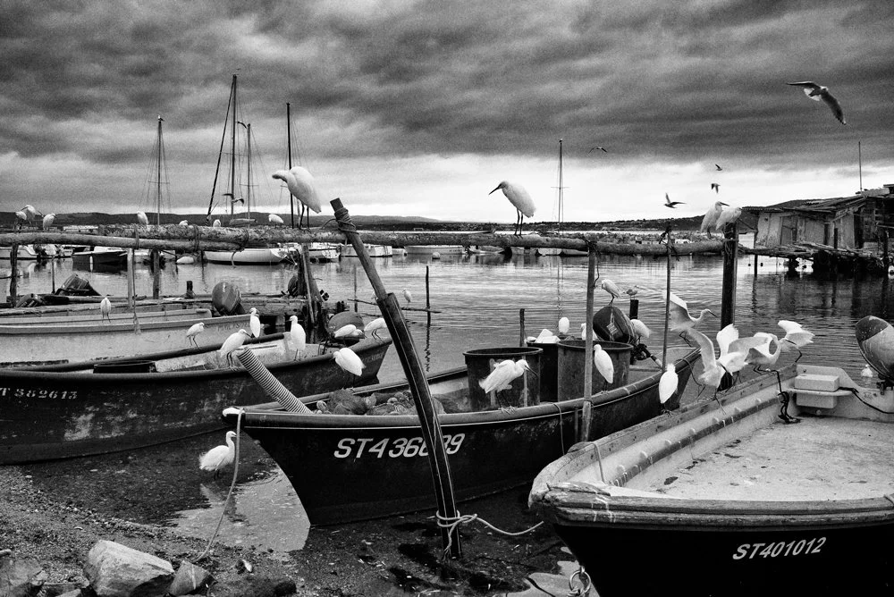 Sète. France. (TTT 20)