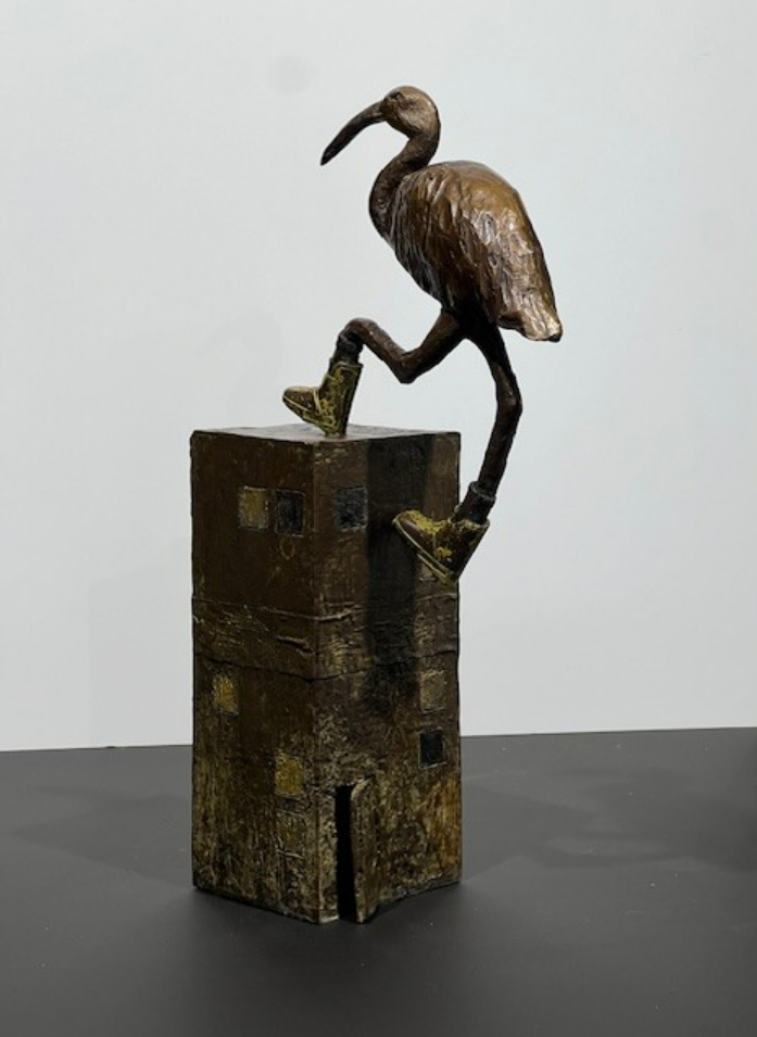 Ibis au sommet