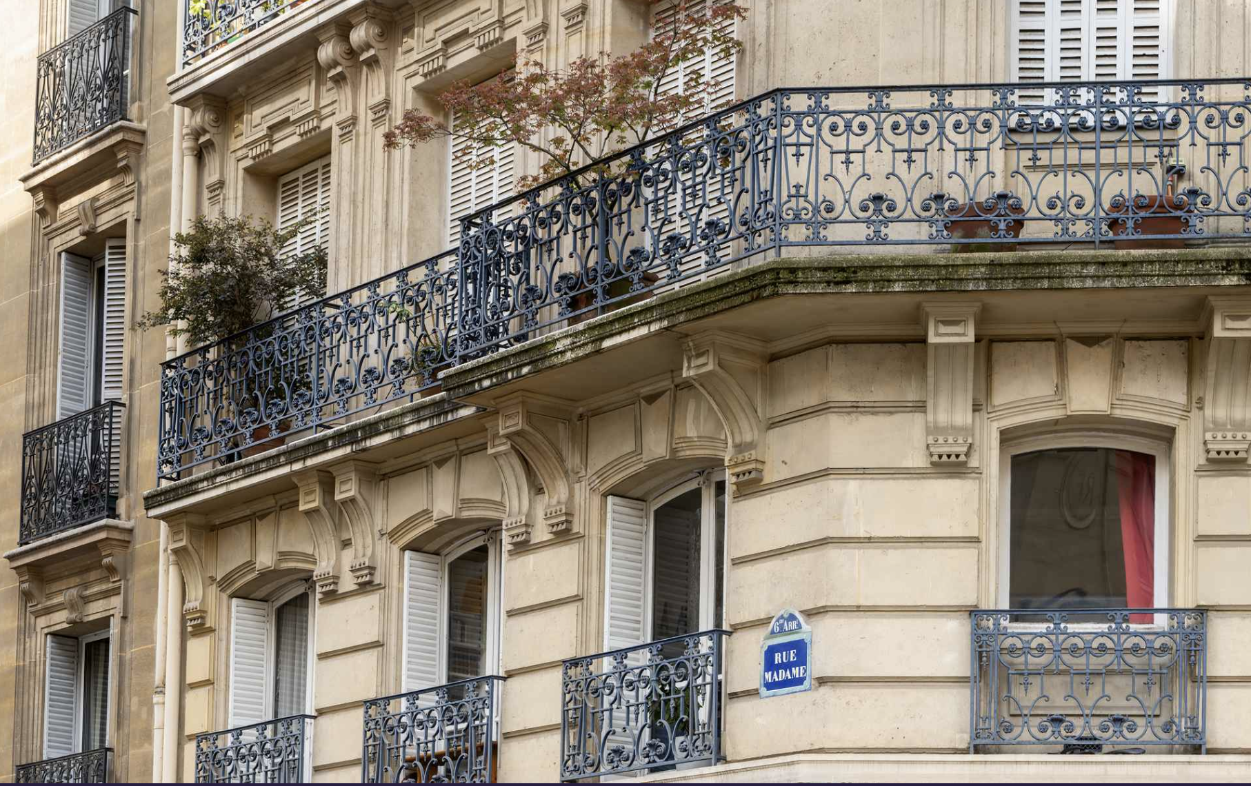 A Parisian building with cream-colored stone façade, decorative moldings, and multiple balconies with ornate blue wrought-iron railings. Potted plants and a small tree are on the balconies, and the street sign reads 'Rue Madame, 6th Arrondissement.'