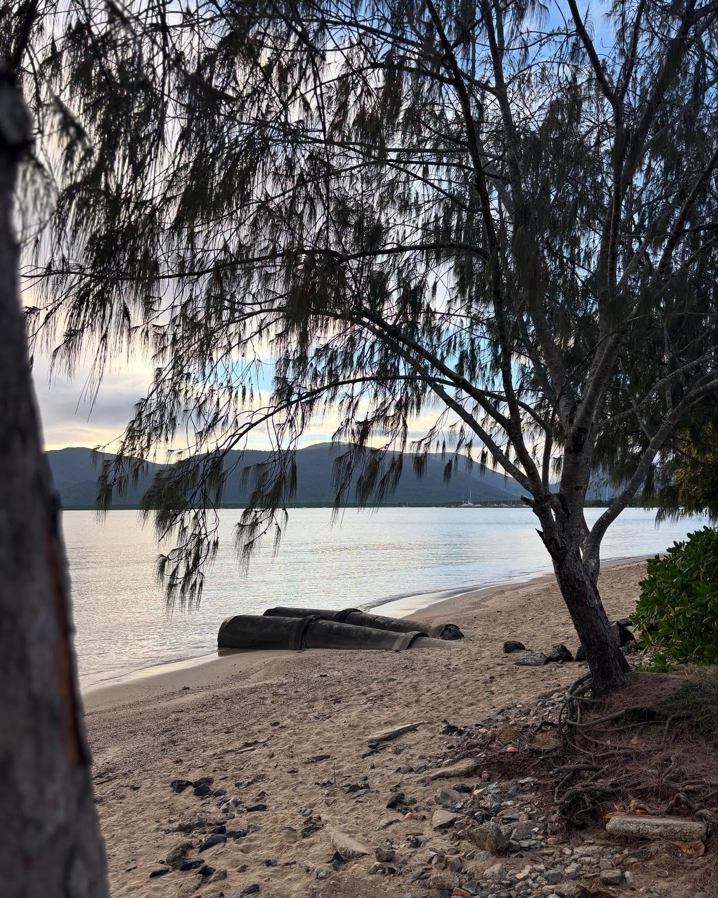 We&rsquo;ve landed in Cairns🏝️ #freedomofless