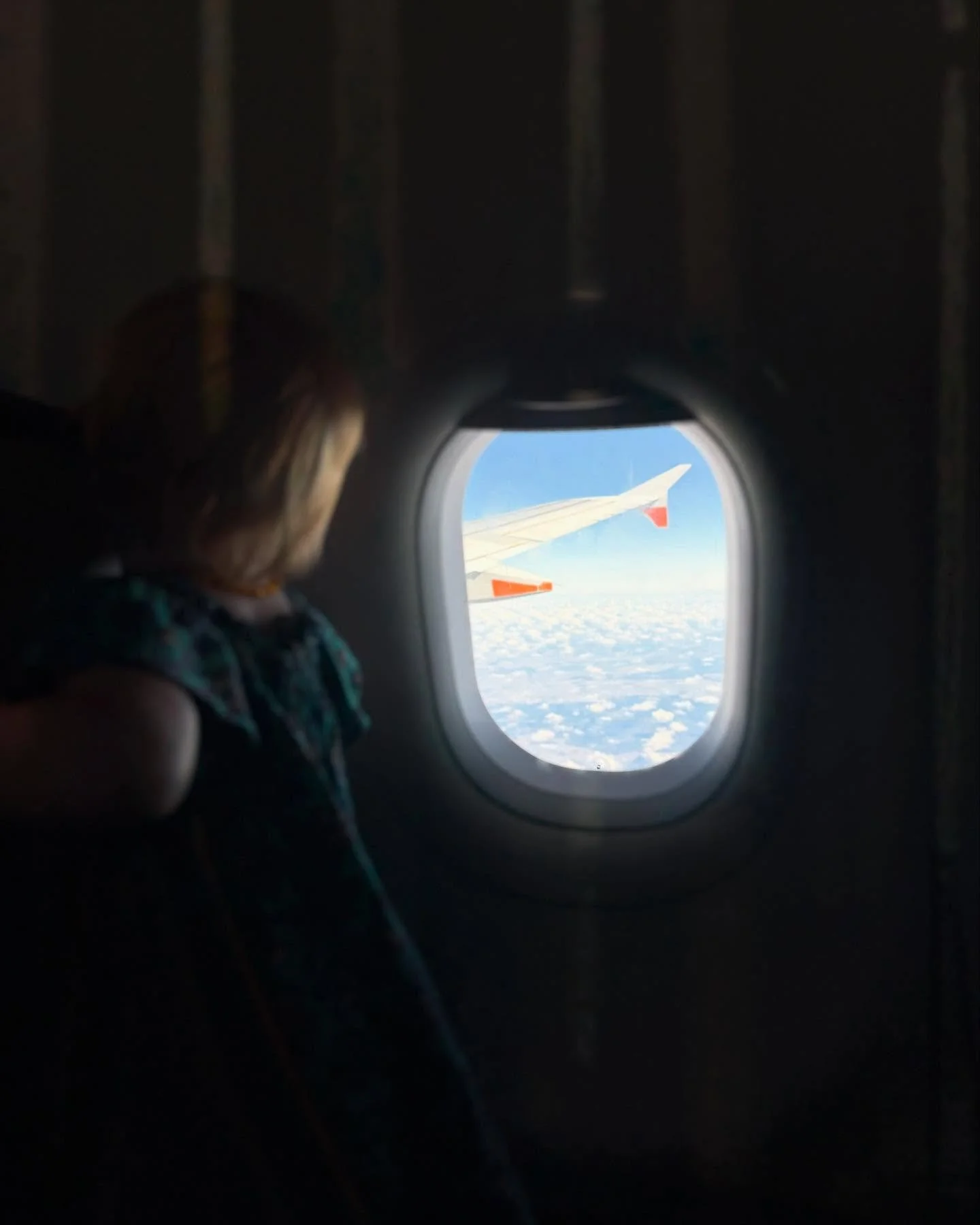 Cairns -> Sydney mish today ✈️ 

While the boys drove our van down the continent, we hung out in Cairns for a week - then flew to meet them in Sydney today. 

So proud of the boys for such a huge driving effort! And so cool to be back together aga