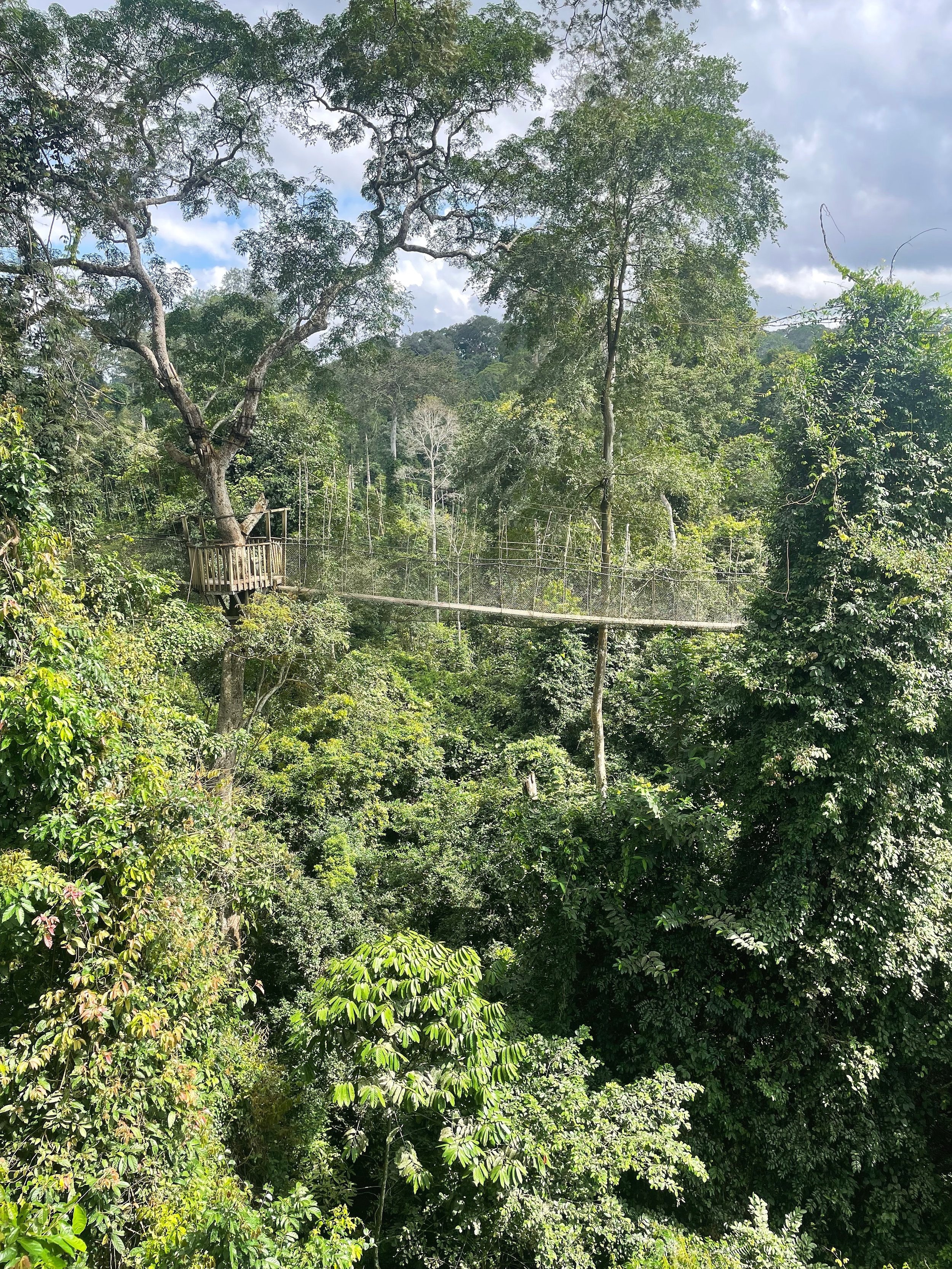 Kakum National Park
