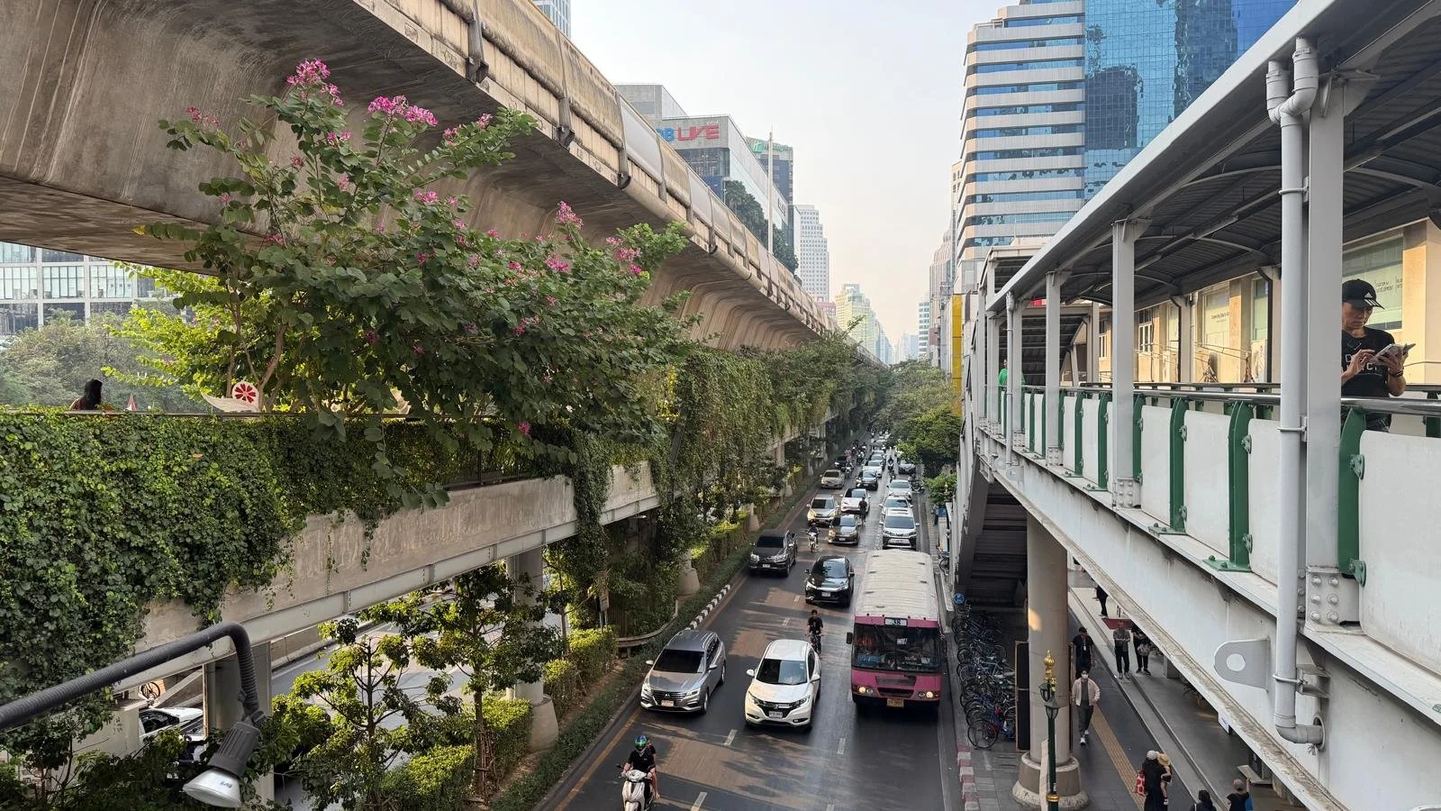 WhatsApp Image 2026-01-12 at 20.21.24 (1).jpeg