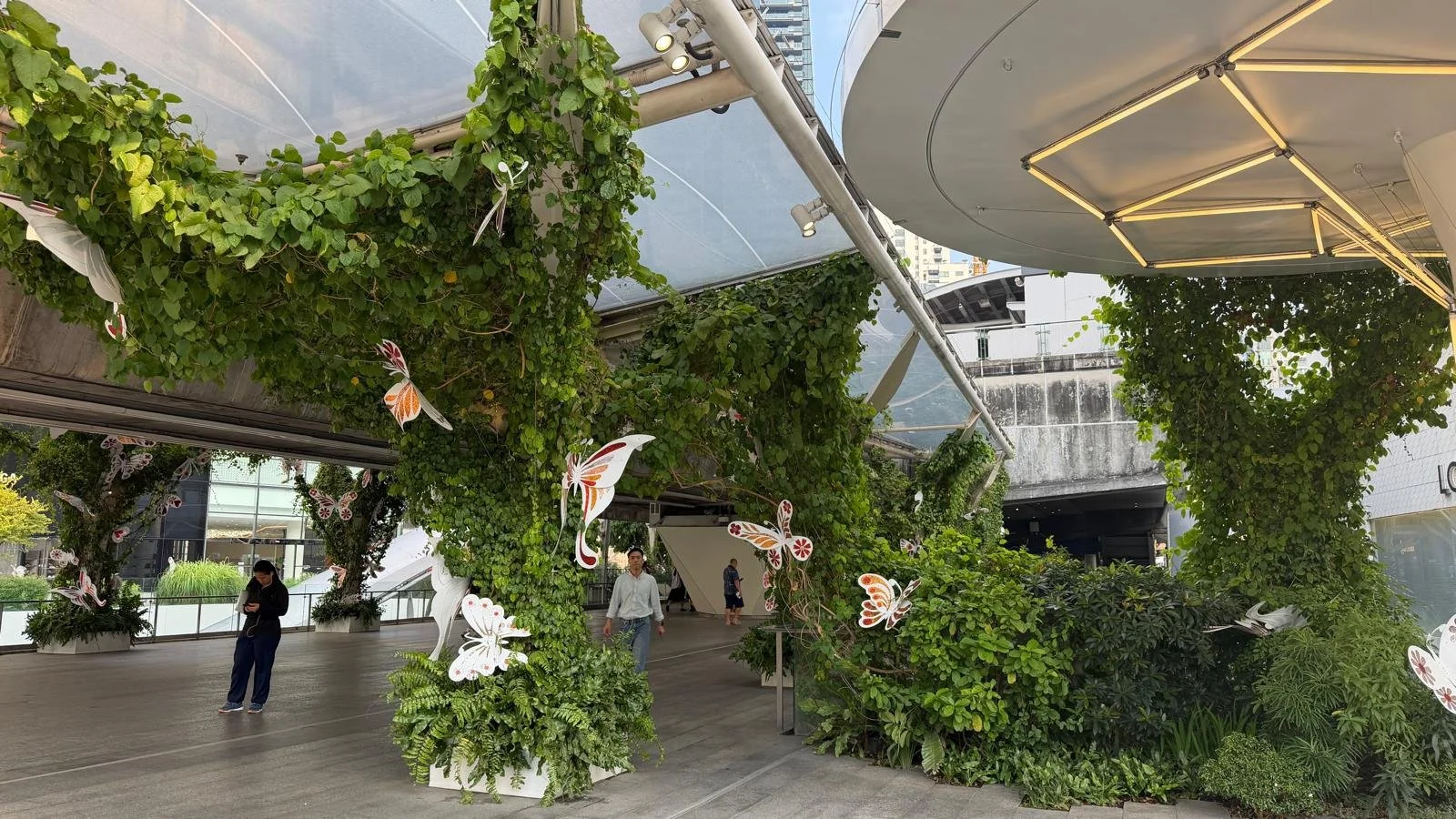 WhatsApp Image 2026-01-12 at 20.21.24.jpeg