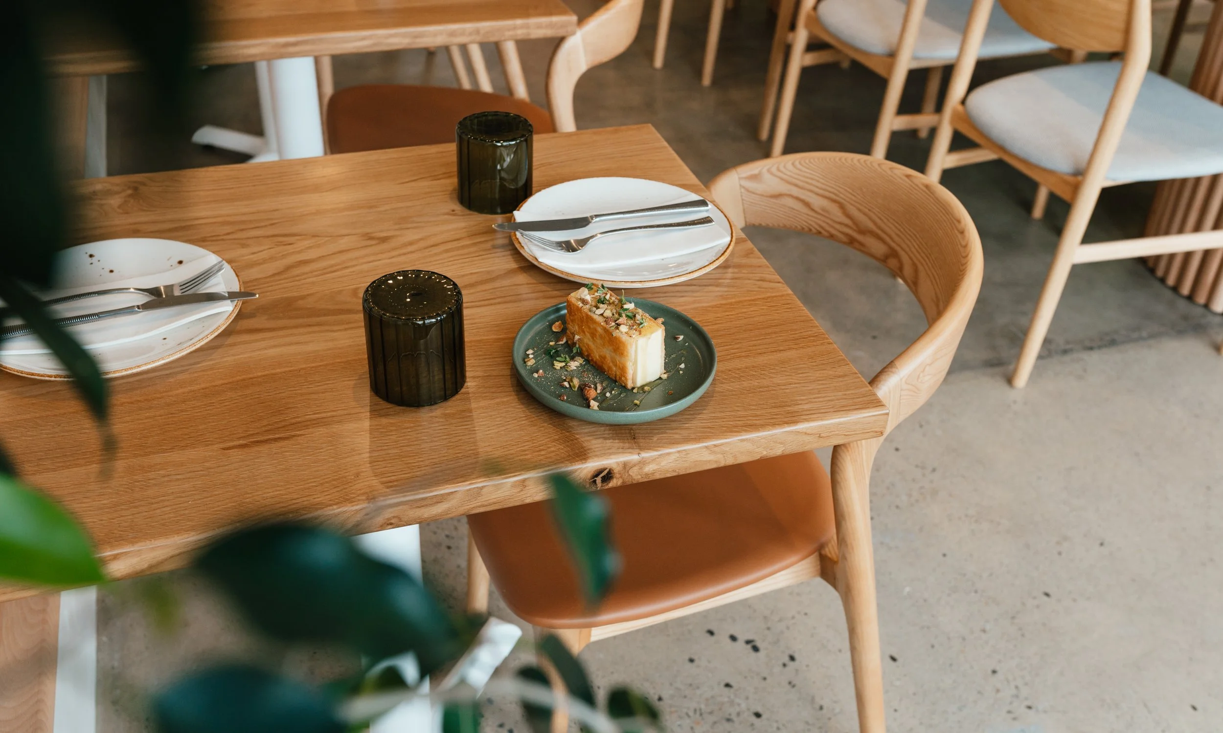 Olive credit Matisse Chambers-9.jpg