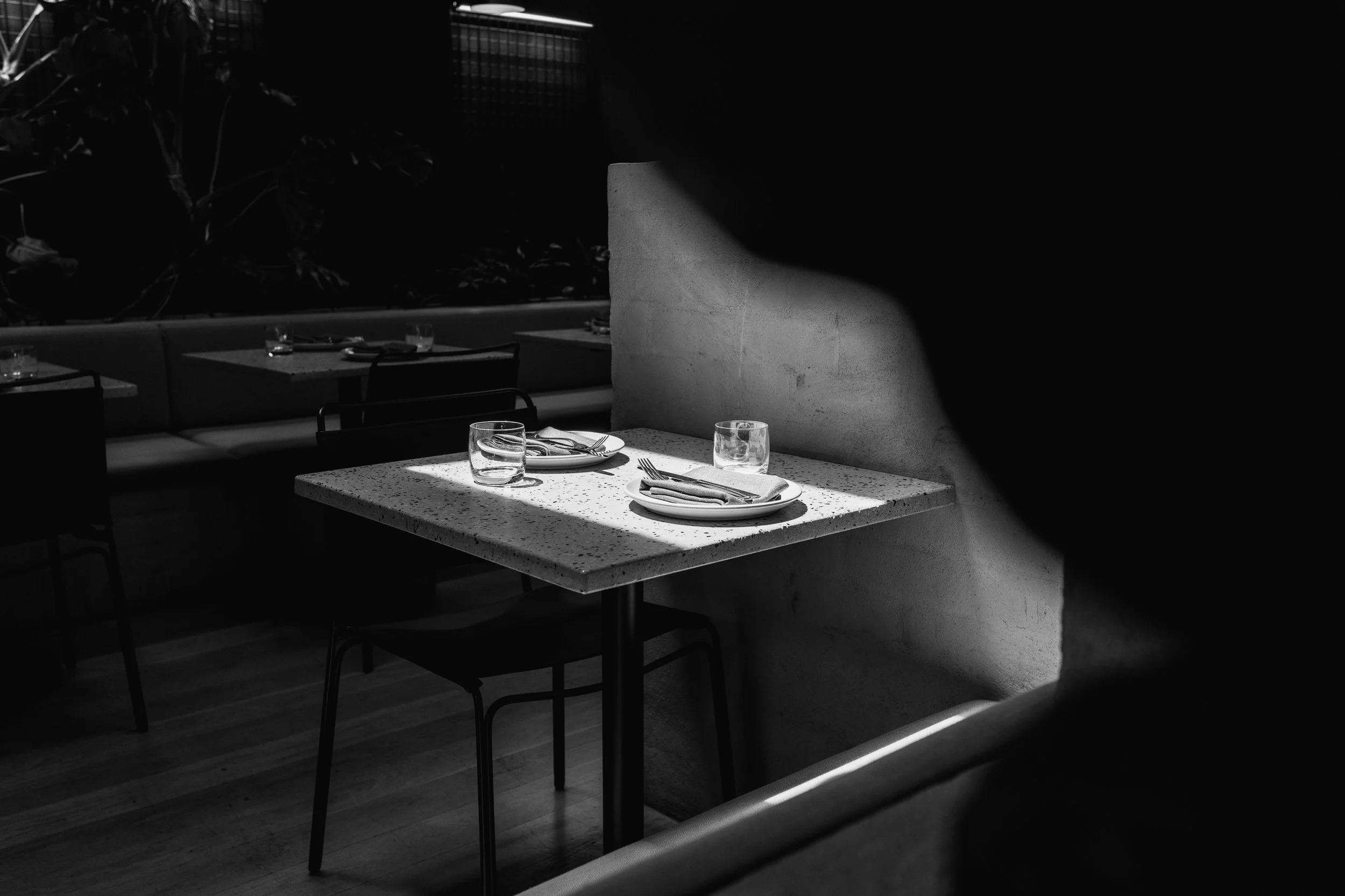 Stem_credit Matisse Chambers-4.jpg