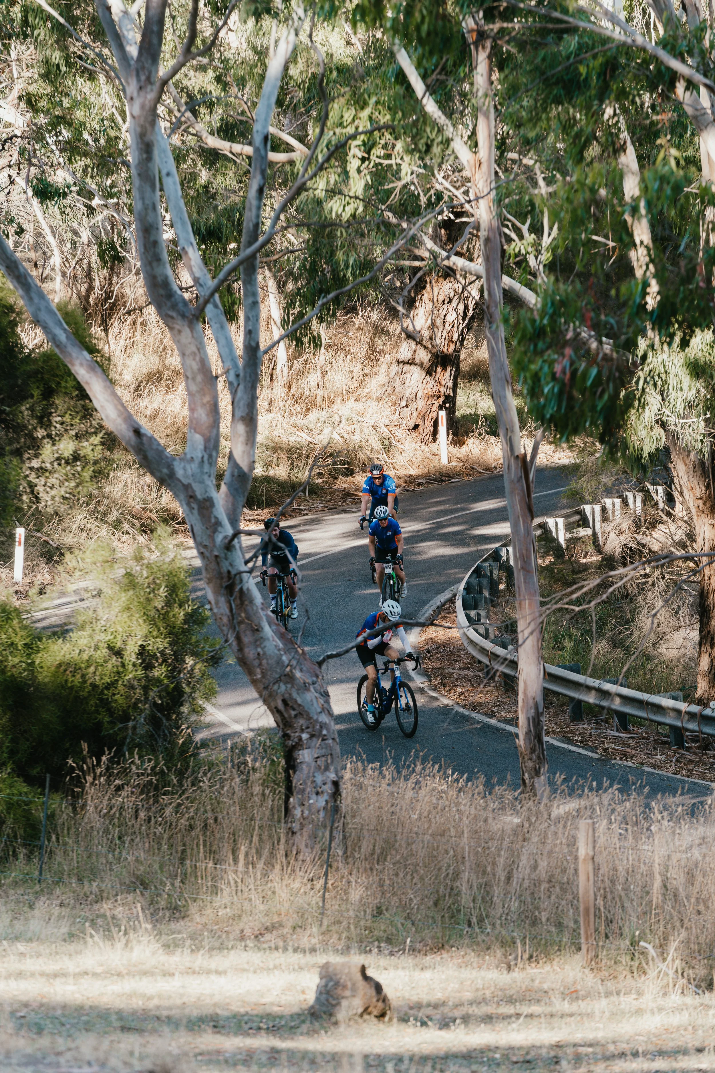 St Allard Atelier-TDU-Epic Ride 2026-DSC02416.jpg