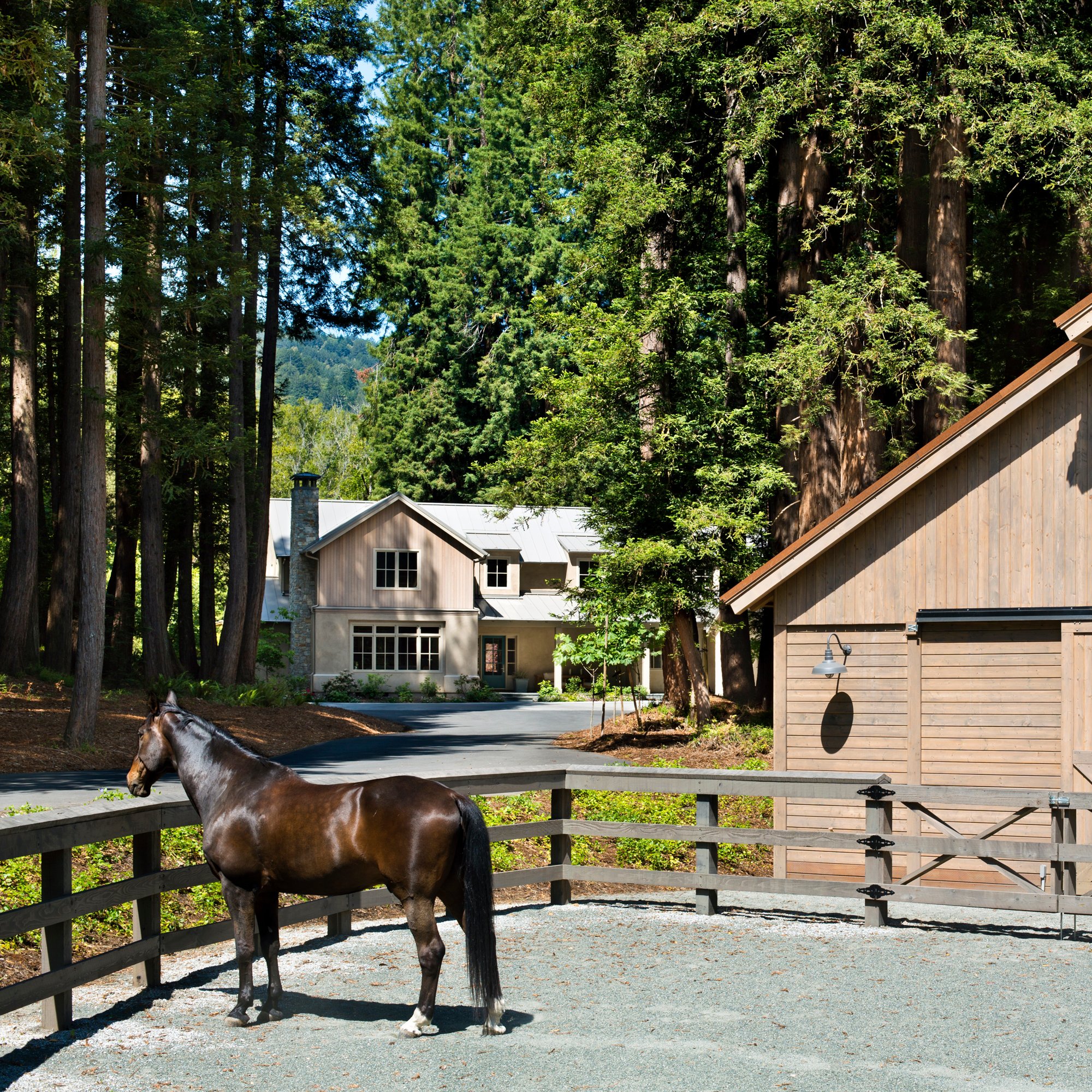 Fox Hollow