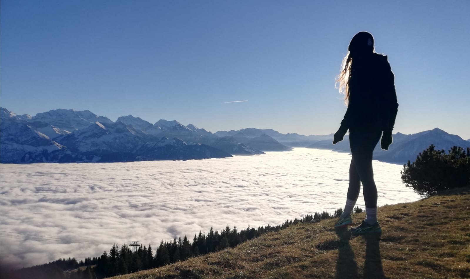 Niederhorn Judi.jpeg