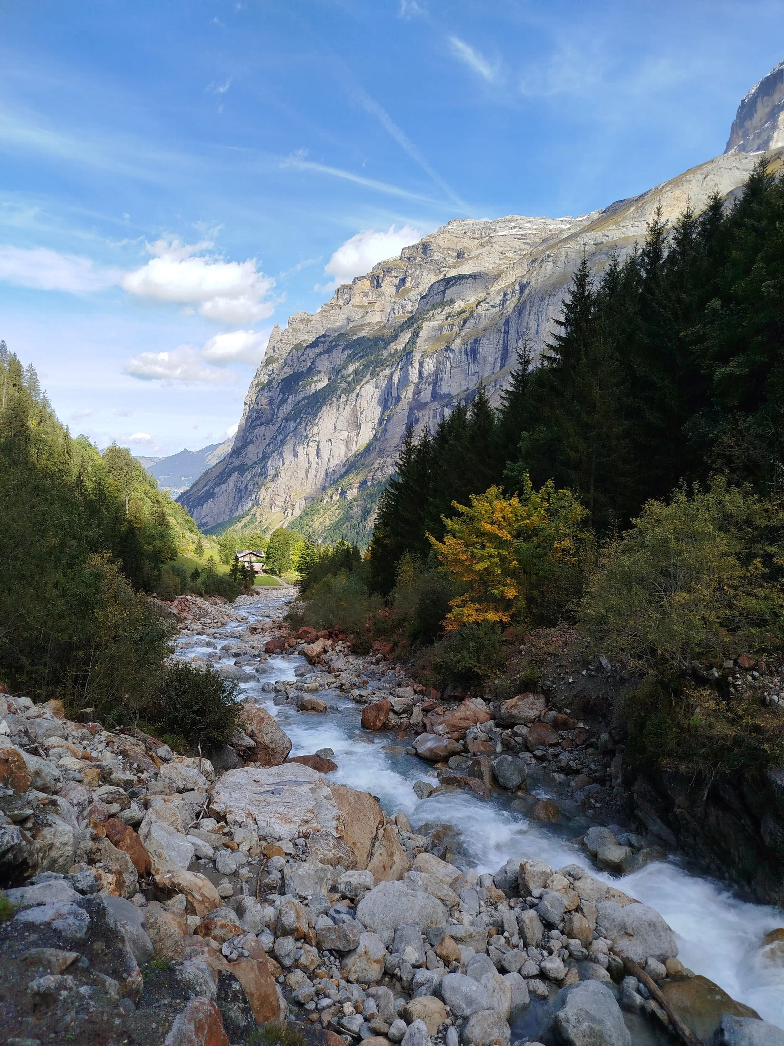 WhatsApp Image 2024-10-22 at 09.56.26.jpeg