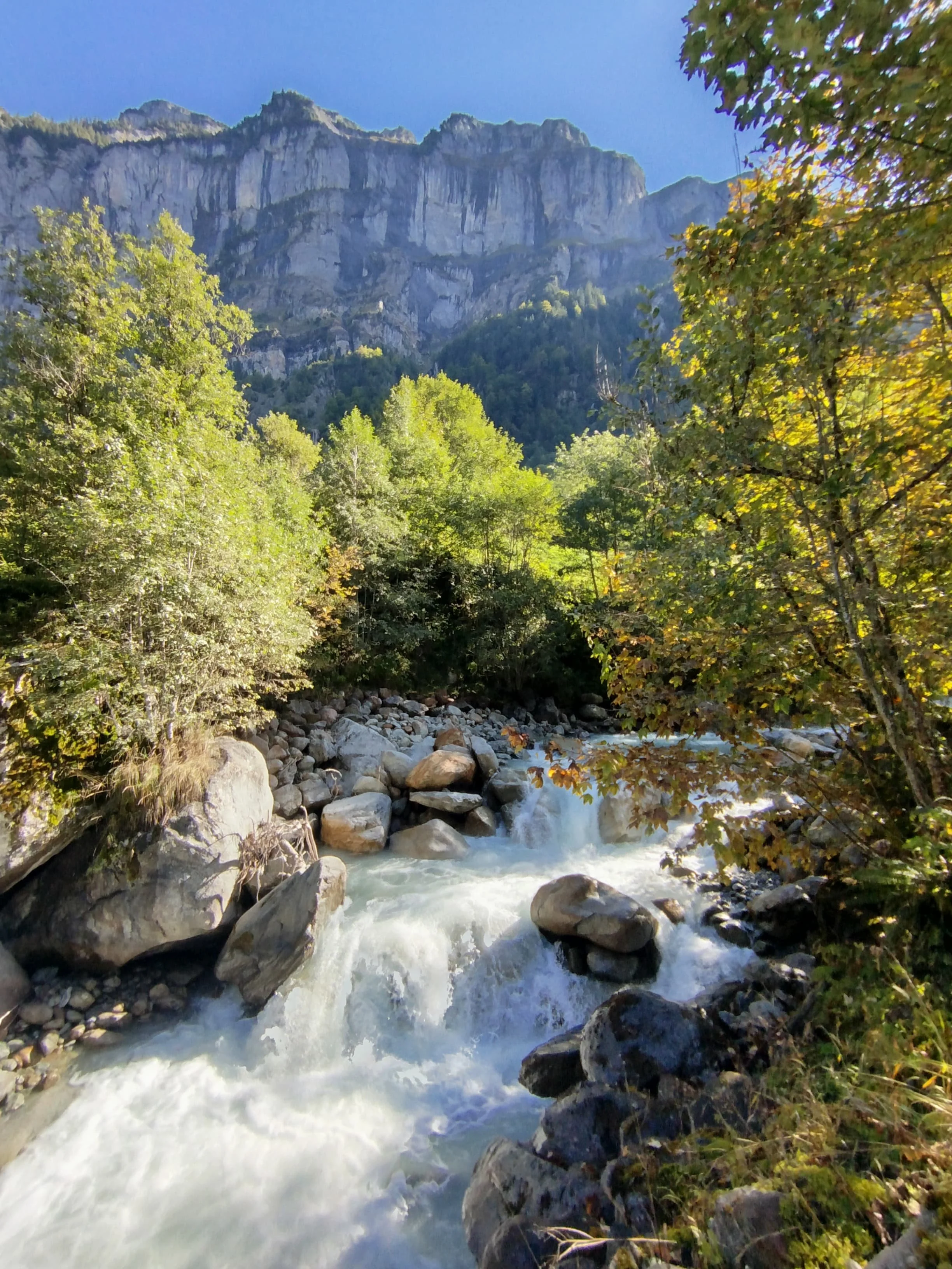 WhatsApp Image 2024-10-22 at 09.56.46.jpeg