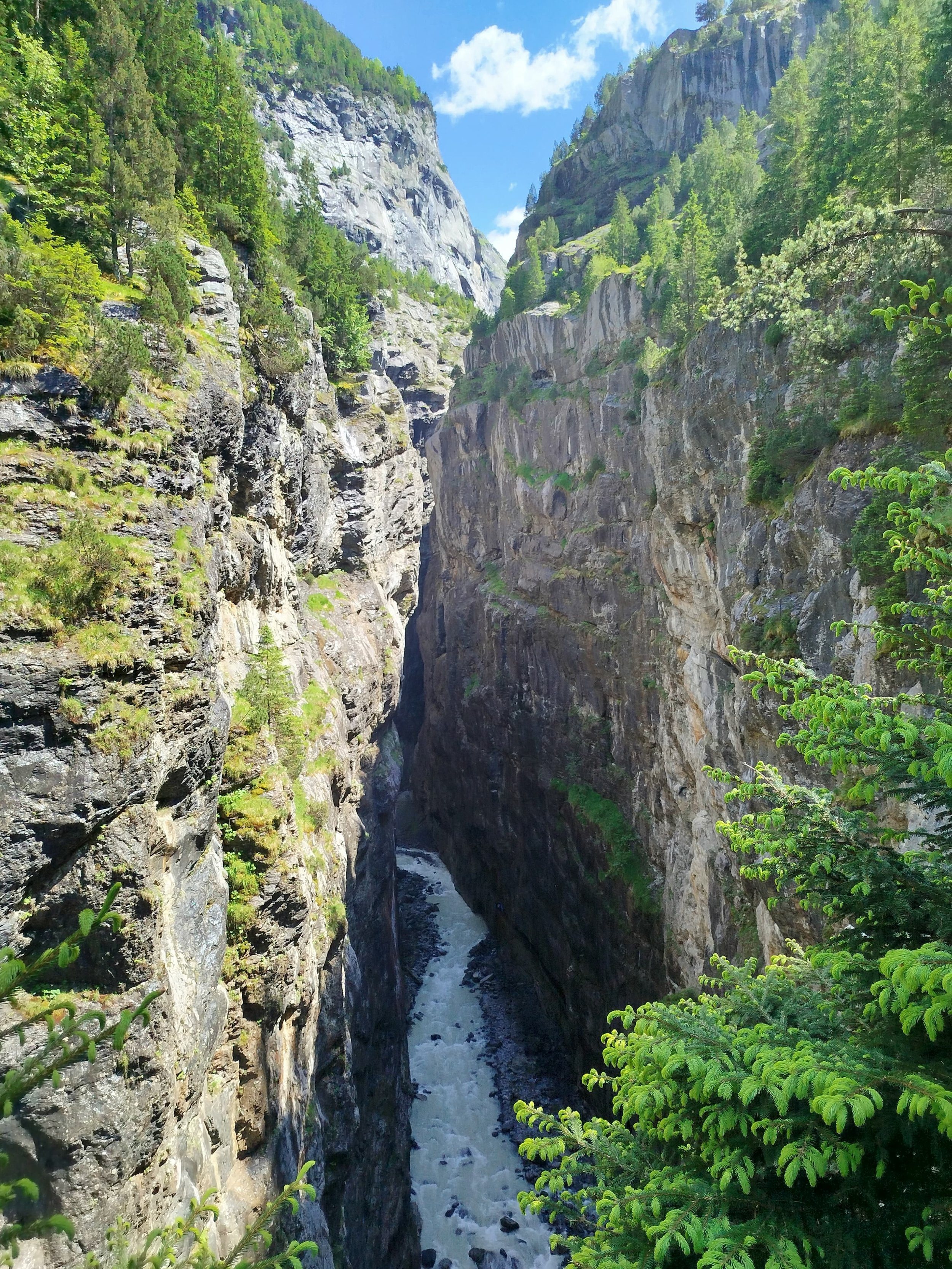 WhatsApp Image 2024-08-24 at 10.38.39 (4).jpeg