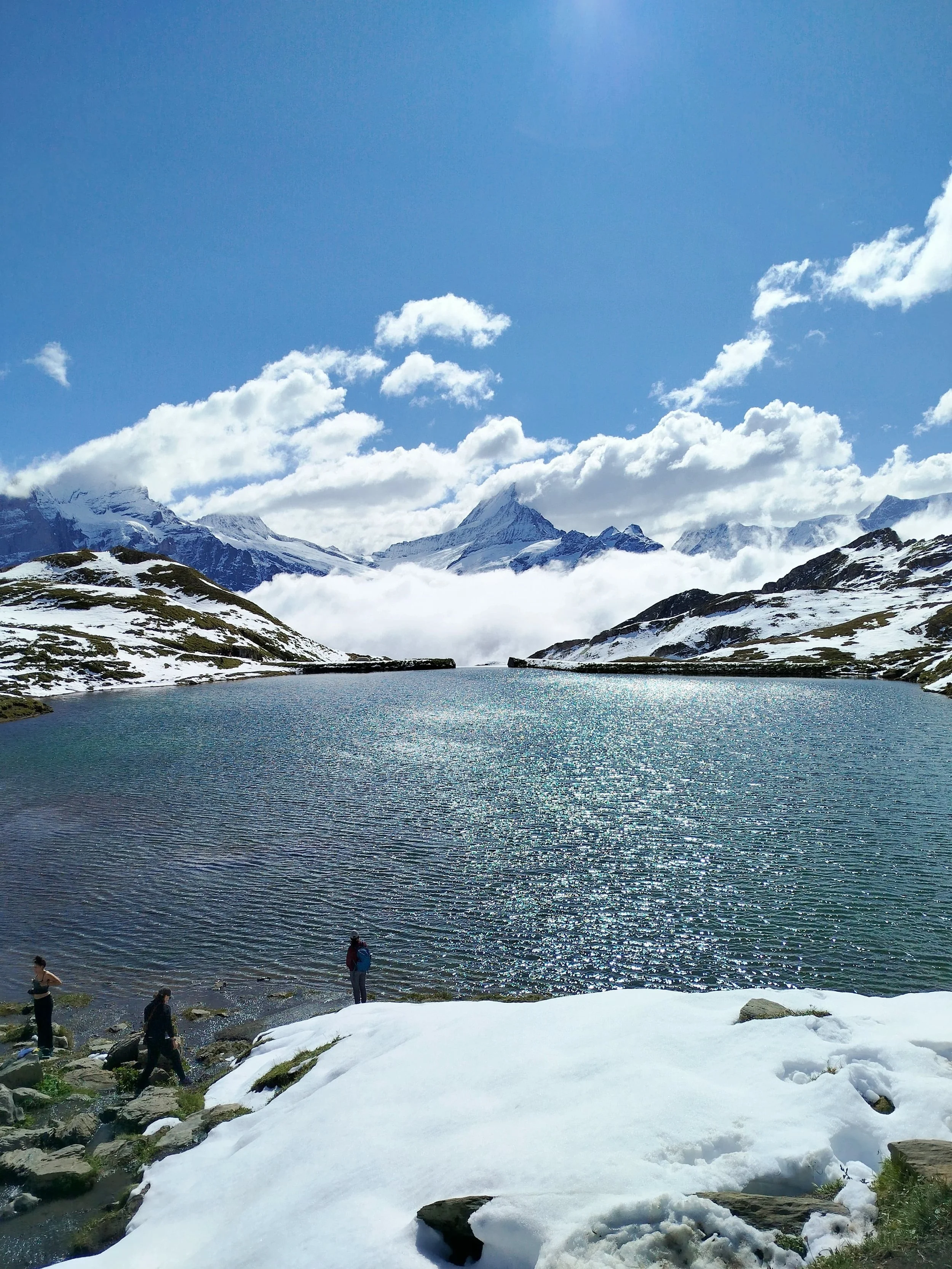 WhatsApp Image 2024-10-22 at 09.56.54.jpeg