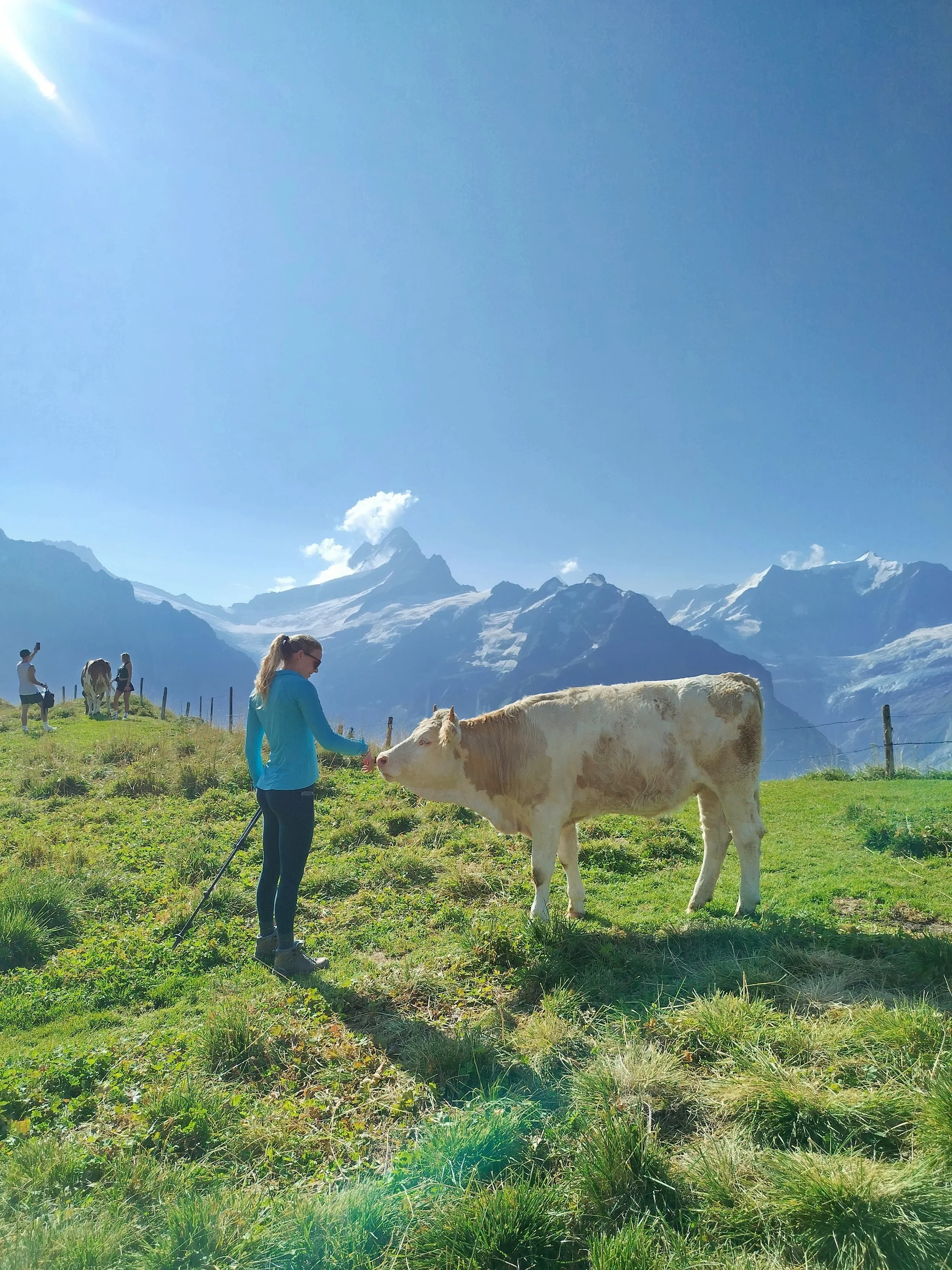 WhatsApp Image 2024-10-22 at 09.56.58 (4).jpeg