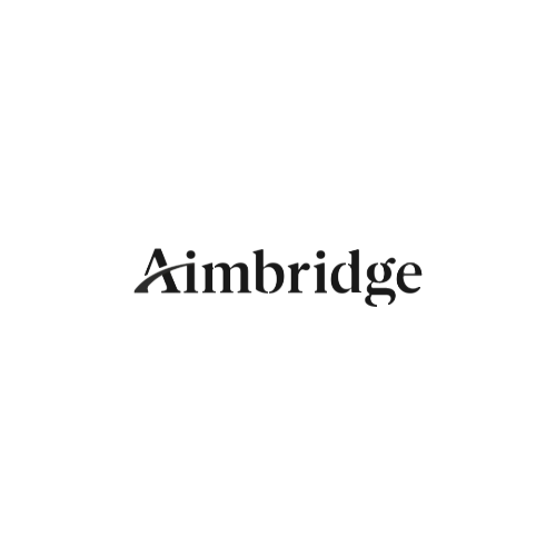 AImbridge website.webp