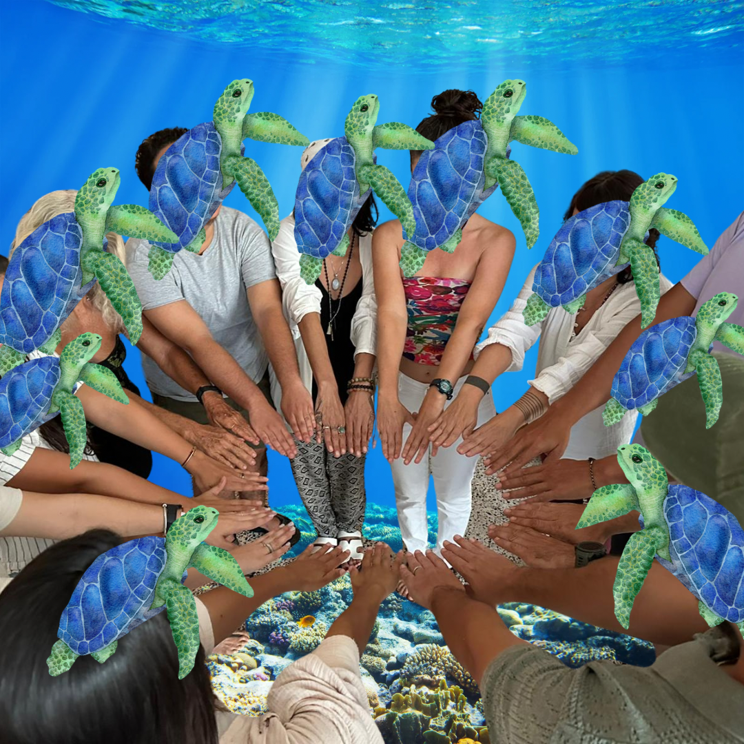 Grupo de personas con tortugas verdes y azules editadas en sus cabezas y brazos, bajo un fondo digital de agua y arrecifes de coral.