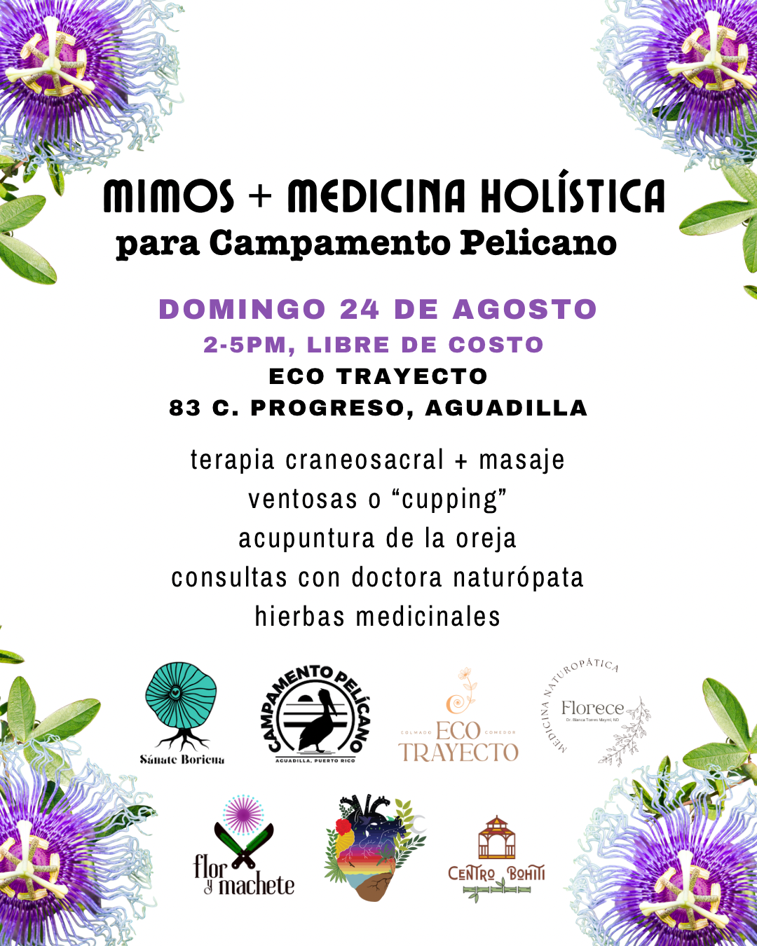 24 agosto - campamento pelicano.PNG